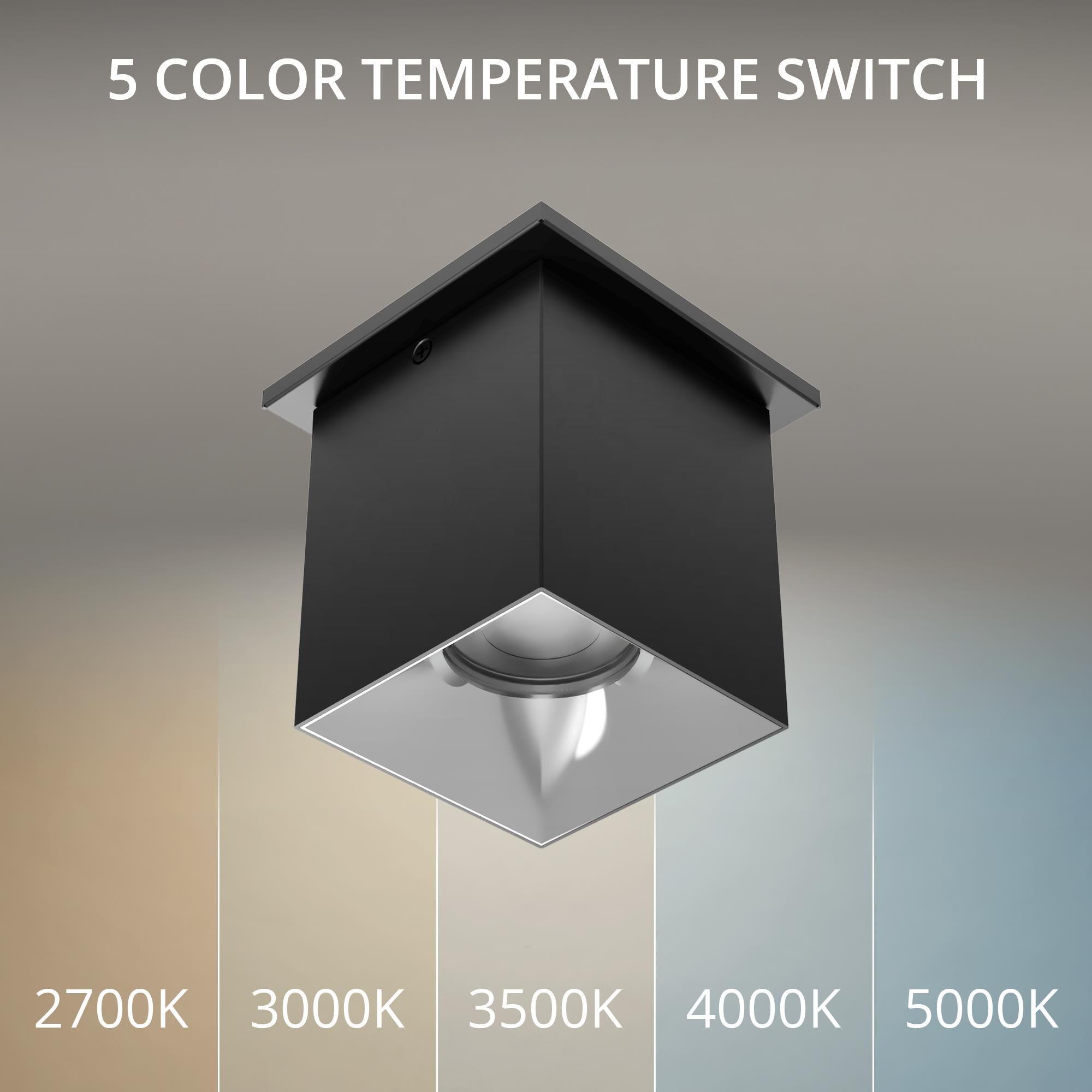 Zoron 5 Inch Outdoor Flush Mount by WAC Lighting