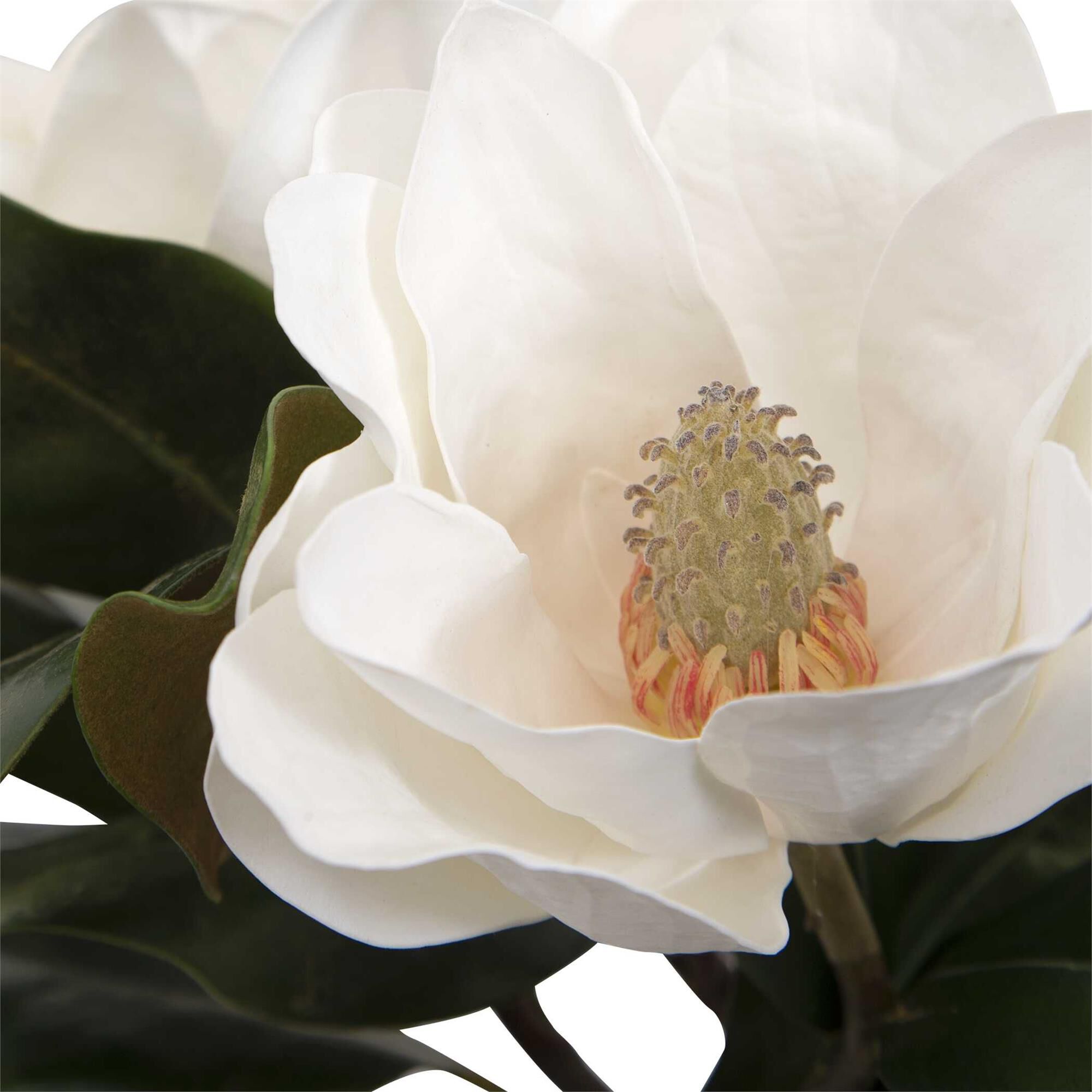 Shown in A Trio Of White Magnolia Blooms Are Placed In A Clear Glass Vase With Faux Water And Natural River S finish
