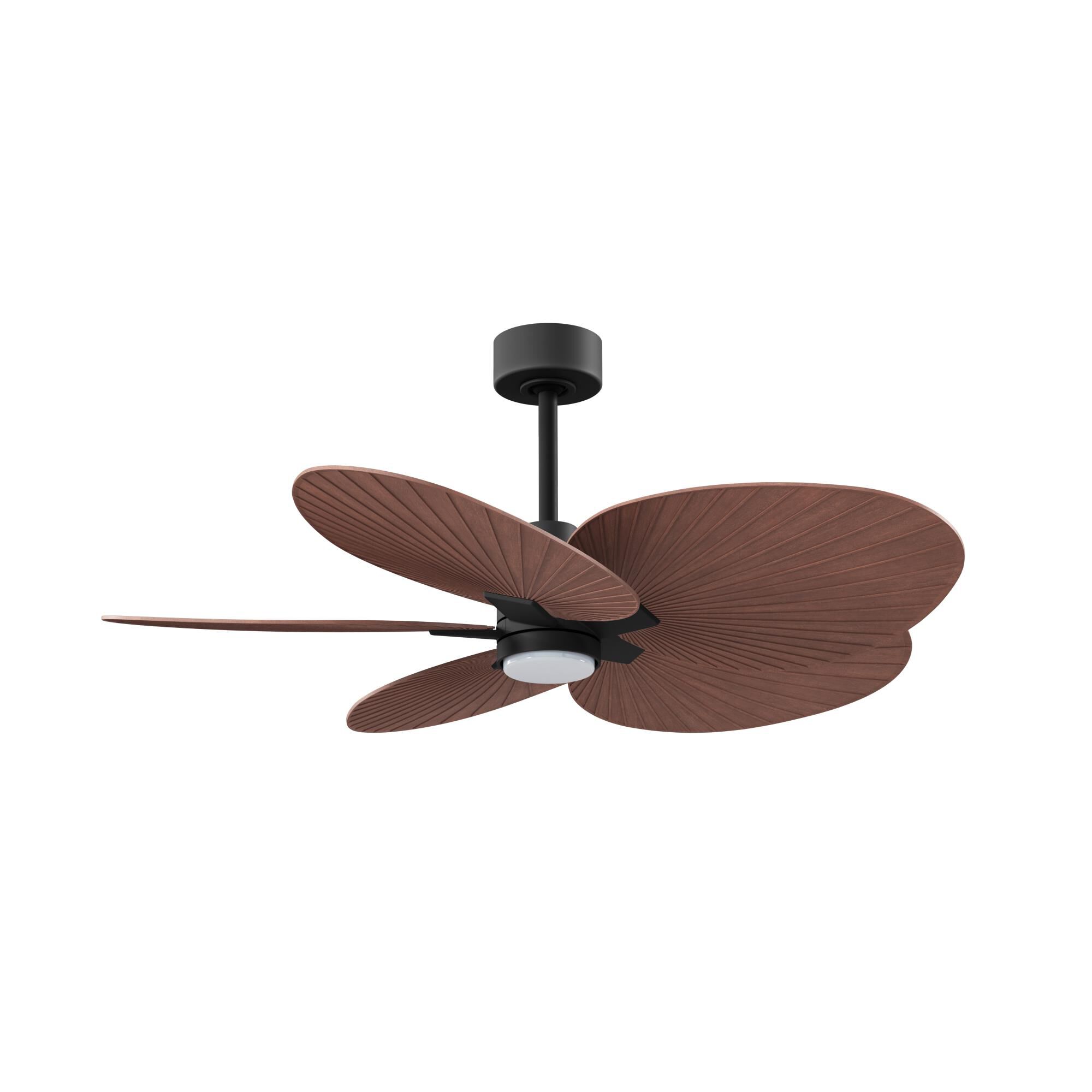 Alessandra Tropical Outdoor Rated 48 Inch Ceiling Fan with Light Kit by Matthews Fan Company