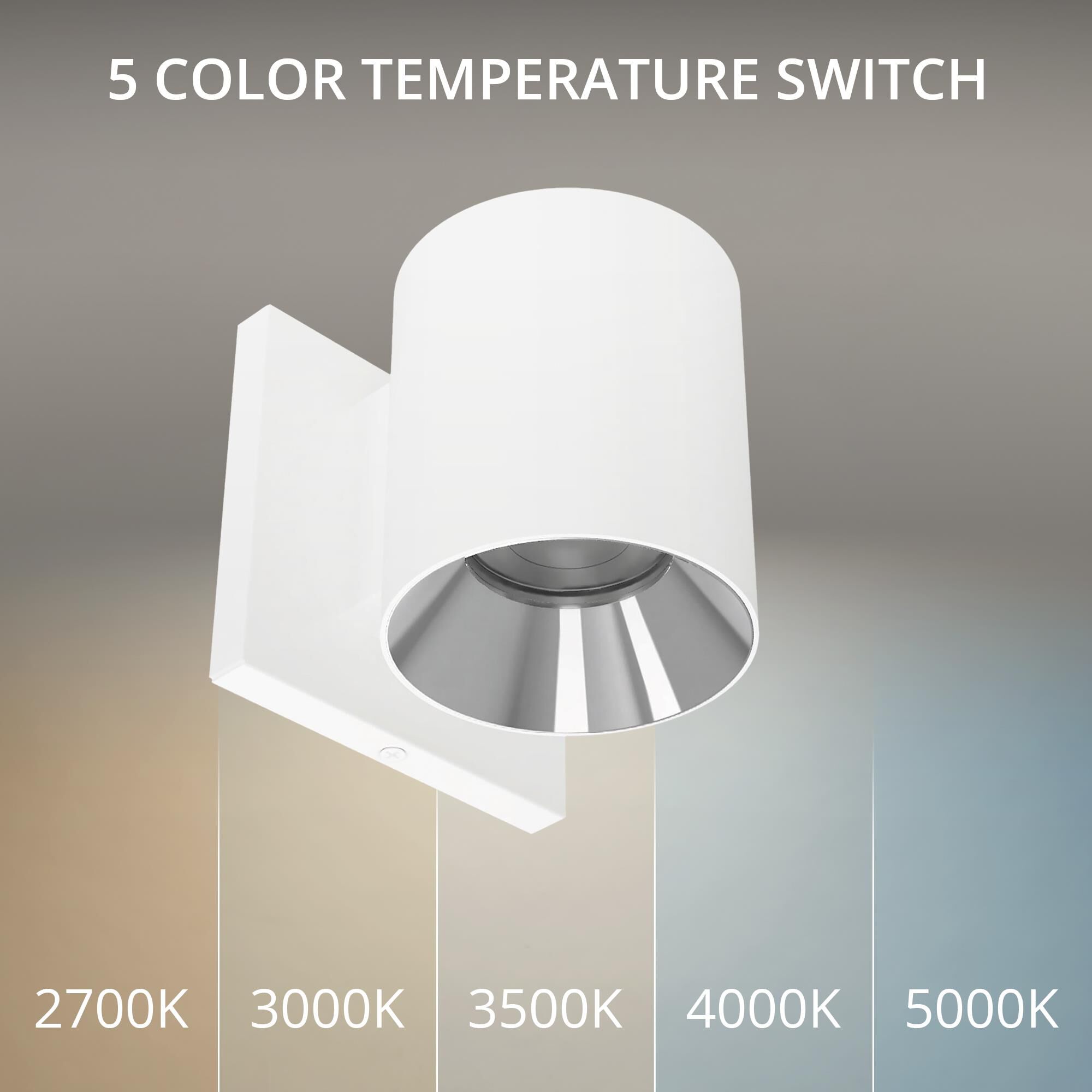 Zoron 4 Inch Outdoor Wall Light by WAC Lighting