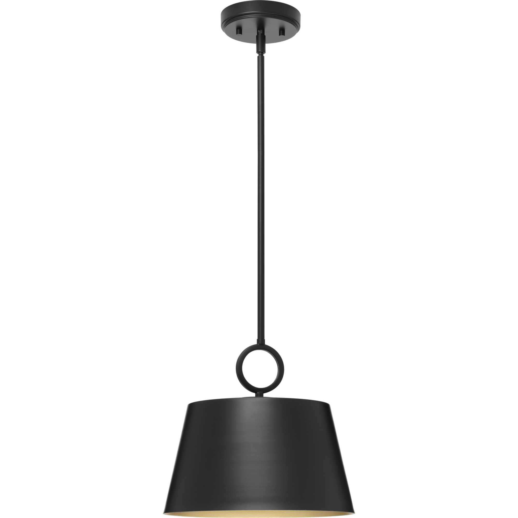 Progress Lighting Parkhurst 12 Inch Large Pendant