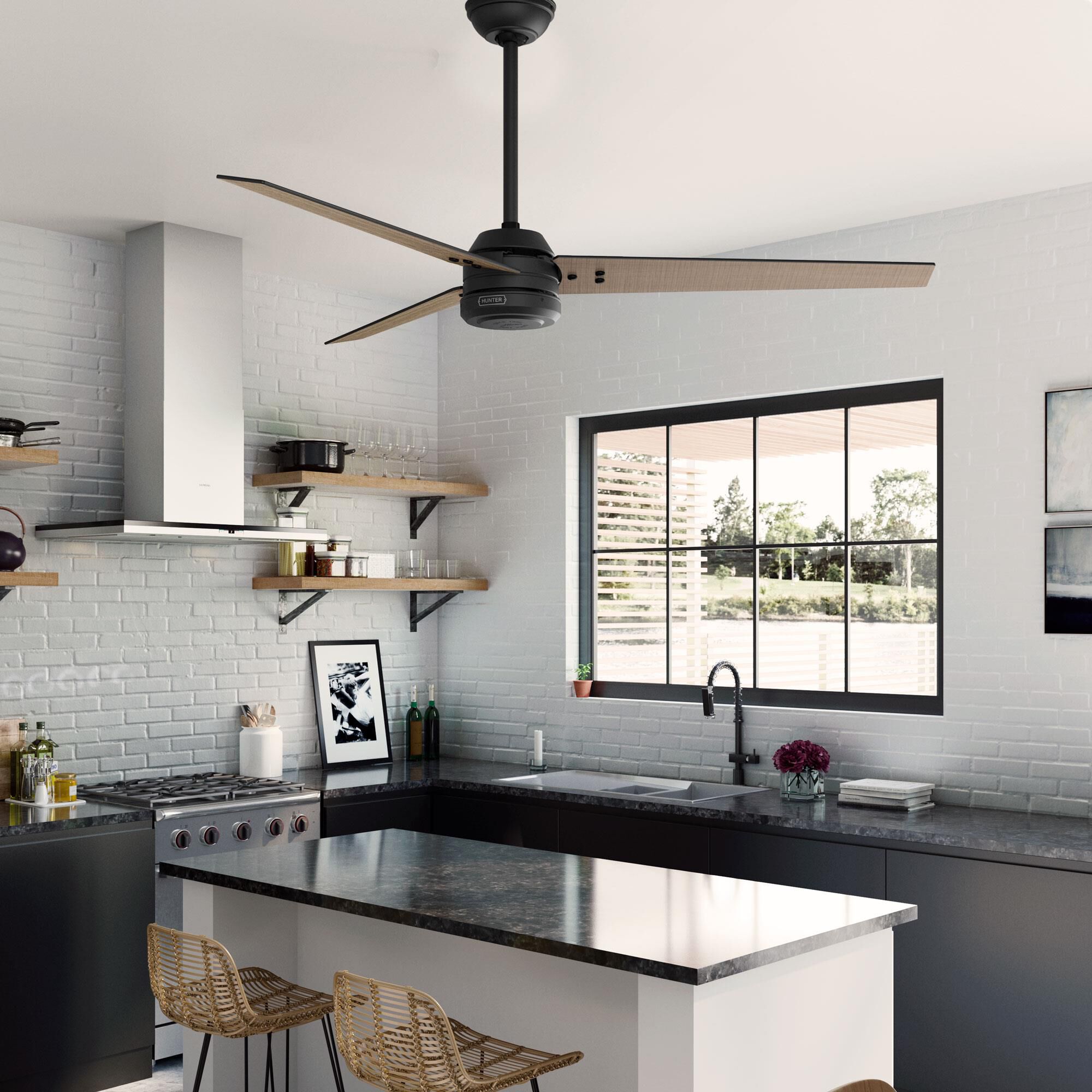 Cassius 60 Inch Ceiling Fan by Hunter Fan