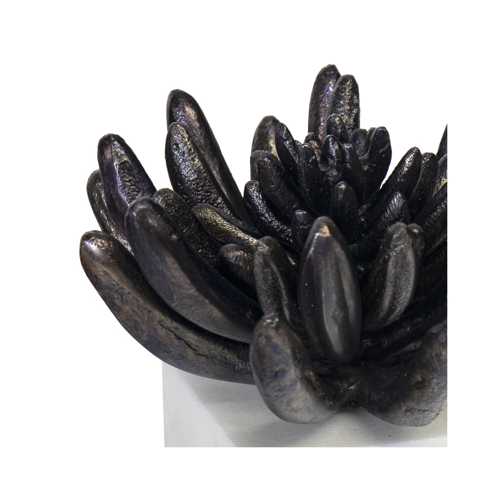 Shown in Blackend Zinc finish