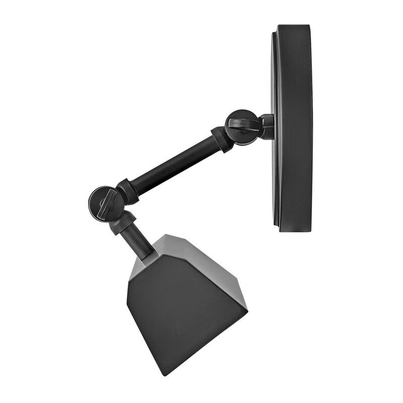 Arti 20 Inch Picture Light by Hinkley