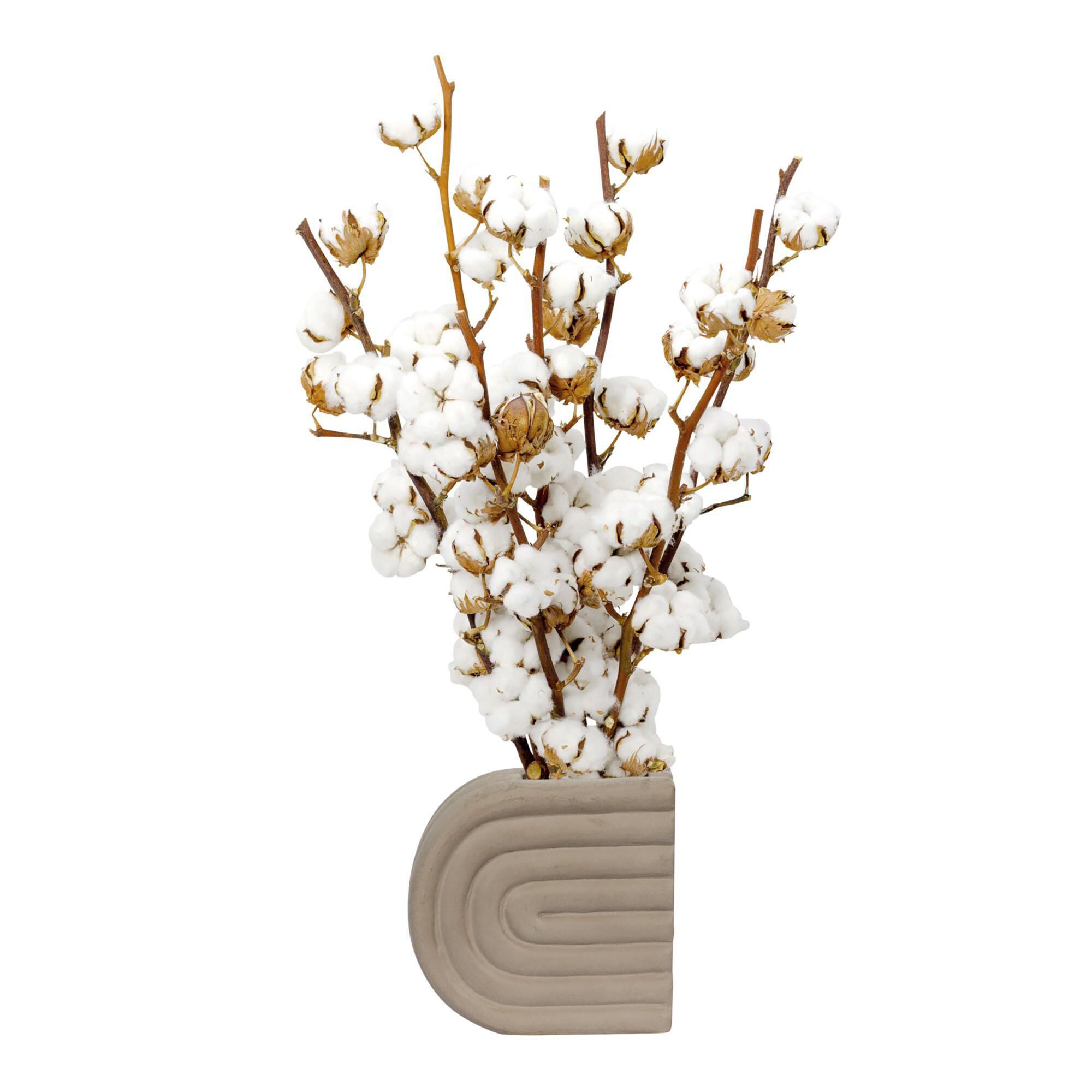 Otto Vase-Urn by Varaluz