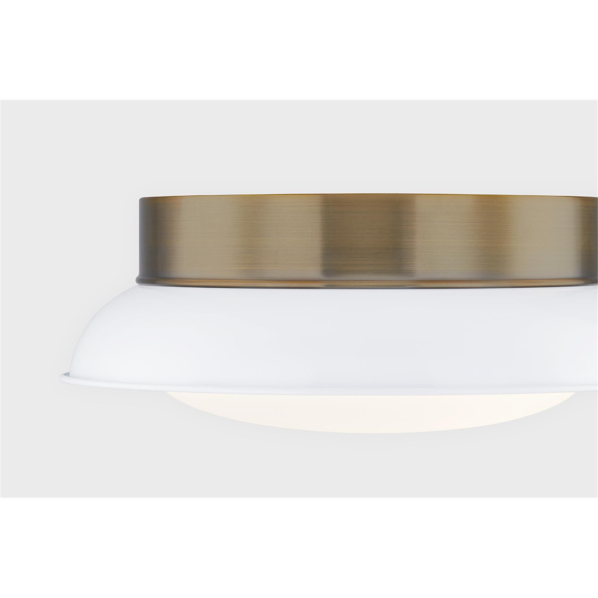 Arnie 14 Inch 2 Light Flush Mount,