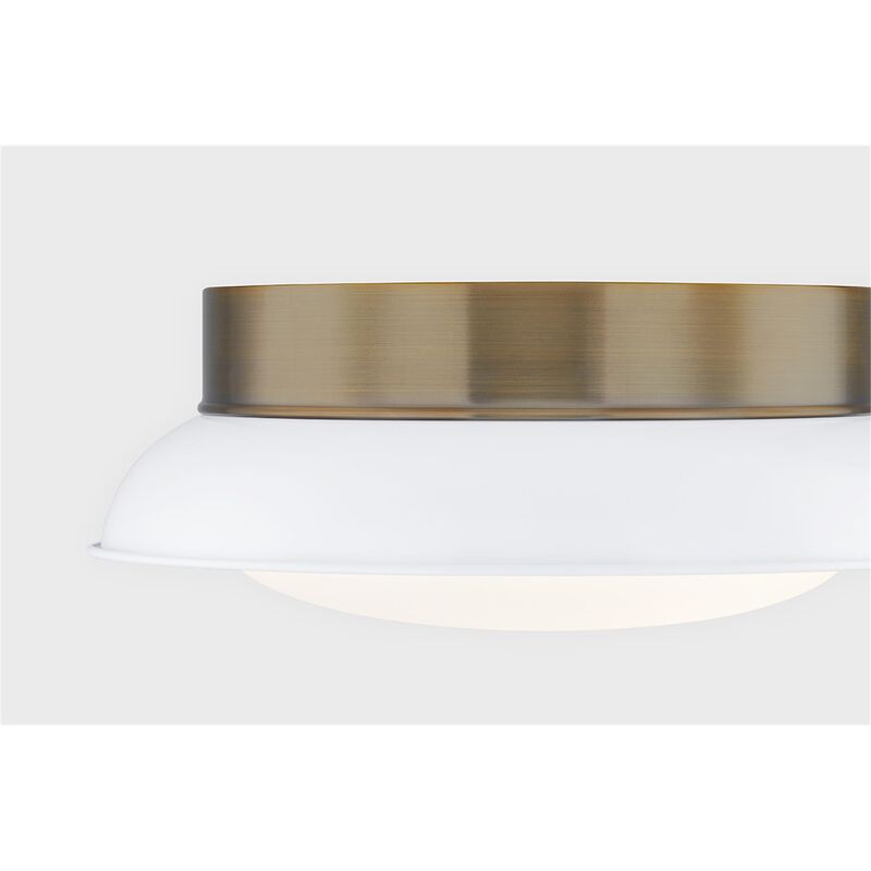Arnie 14 Inch 2 Light Flush Mount by Troy Lighting