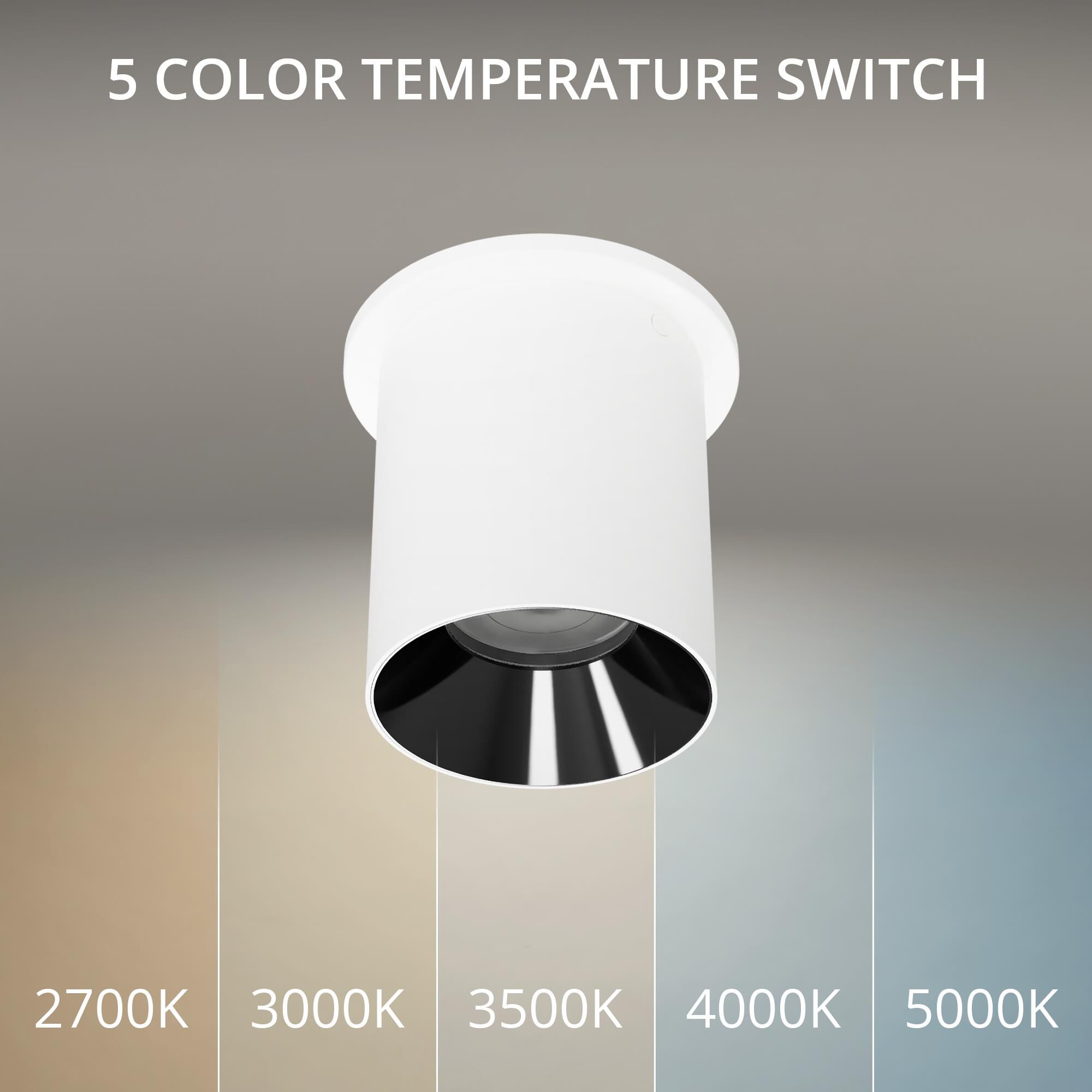 Zoron 5 Inch Outdoor Flush Mount by WAC Lighting