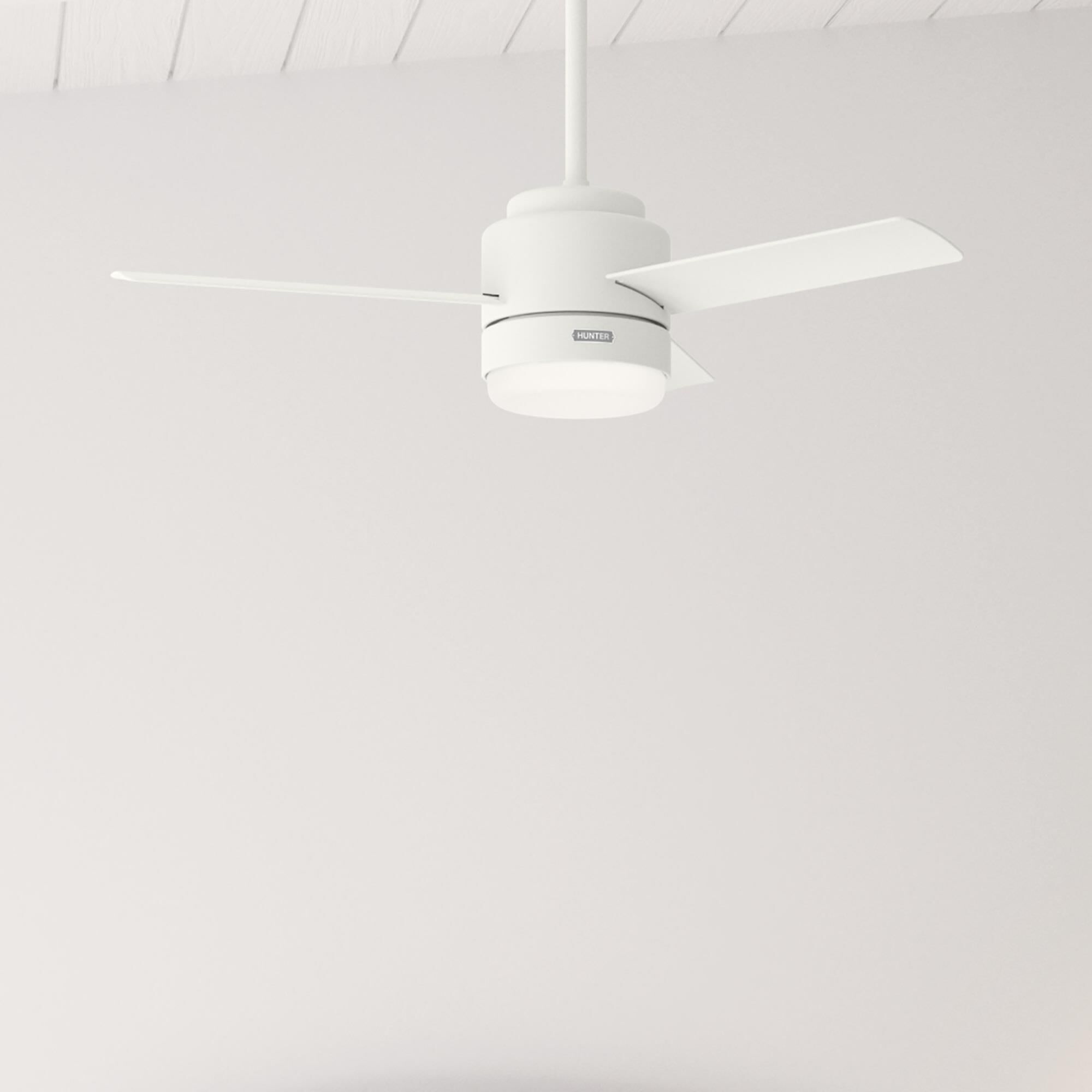 Gilmour 44 Inch Ceiling Fan with Light Kit by Hunter Fan