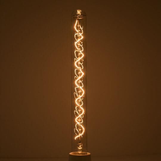 40 Watt 1800K T9 Vintage Light Bulb by Bulbrite