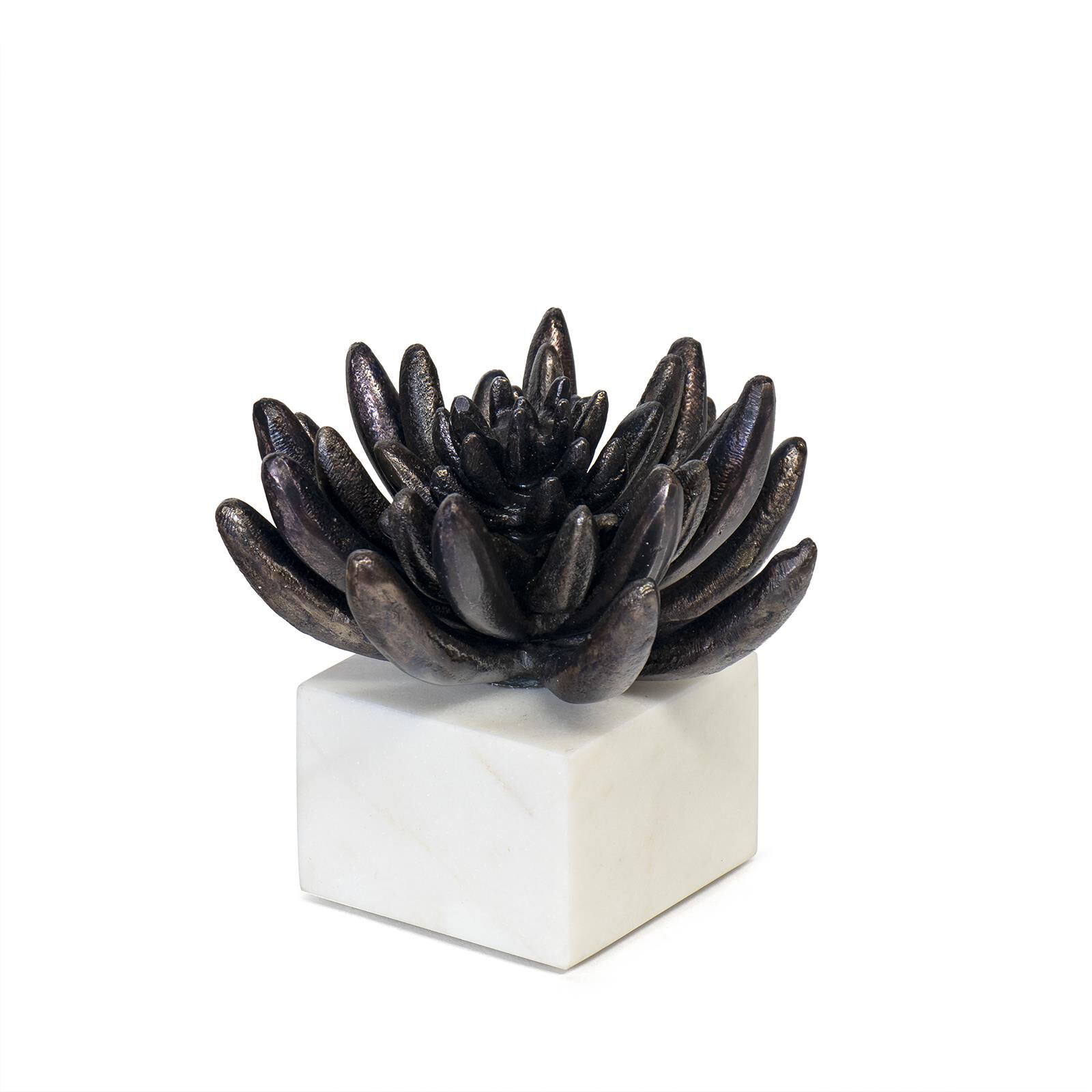 Succulent 6 Inch Sculpture by Regina Andrew