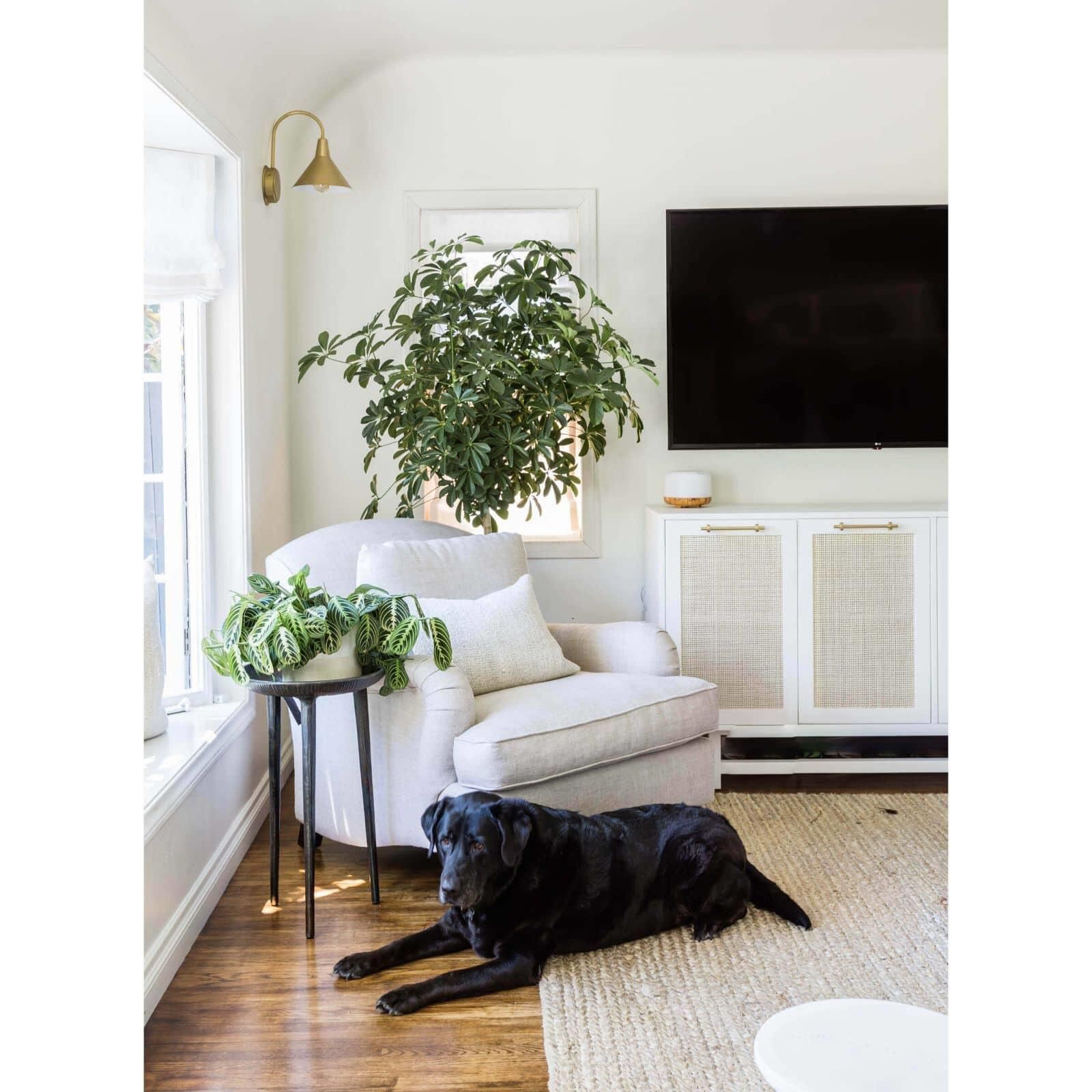 Dublin 13 Inch Wall Sconce by Regina Andrew - Clearance