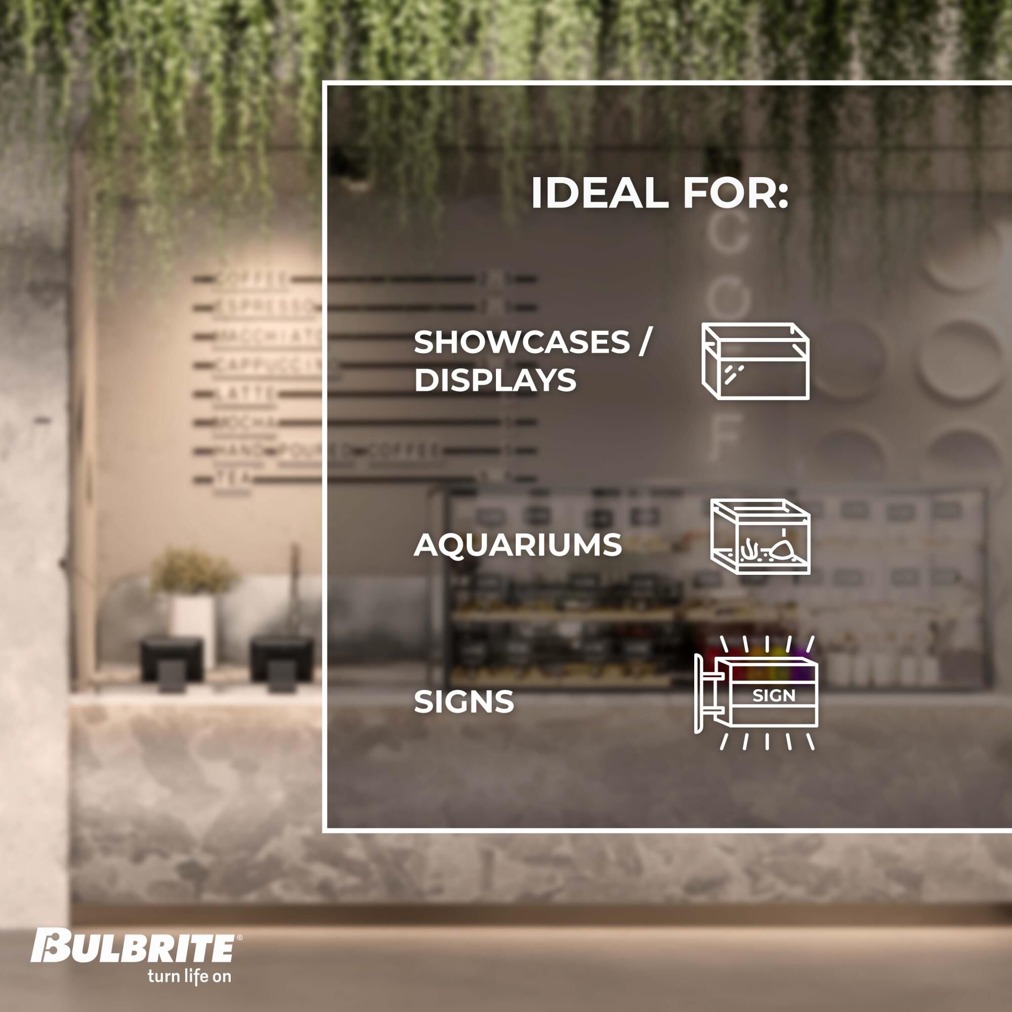 75 Watt 2700K T8 Incandescent Light Bulb by Bulbrite