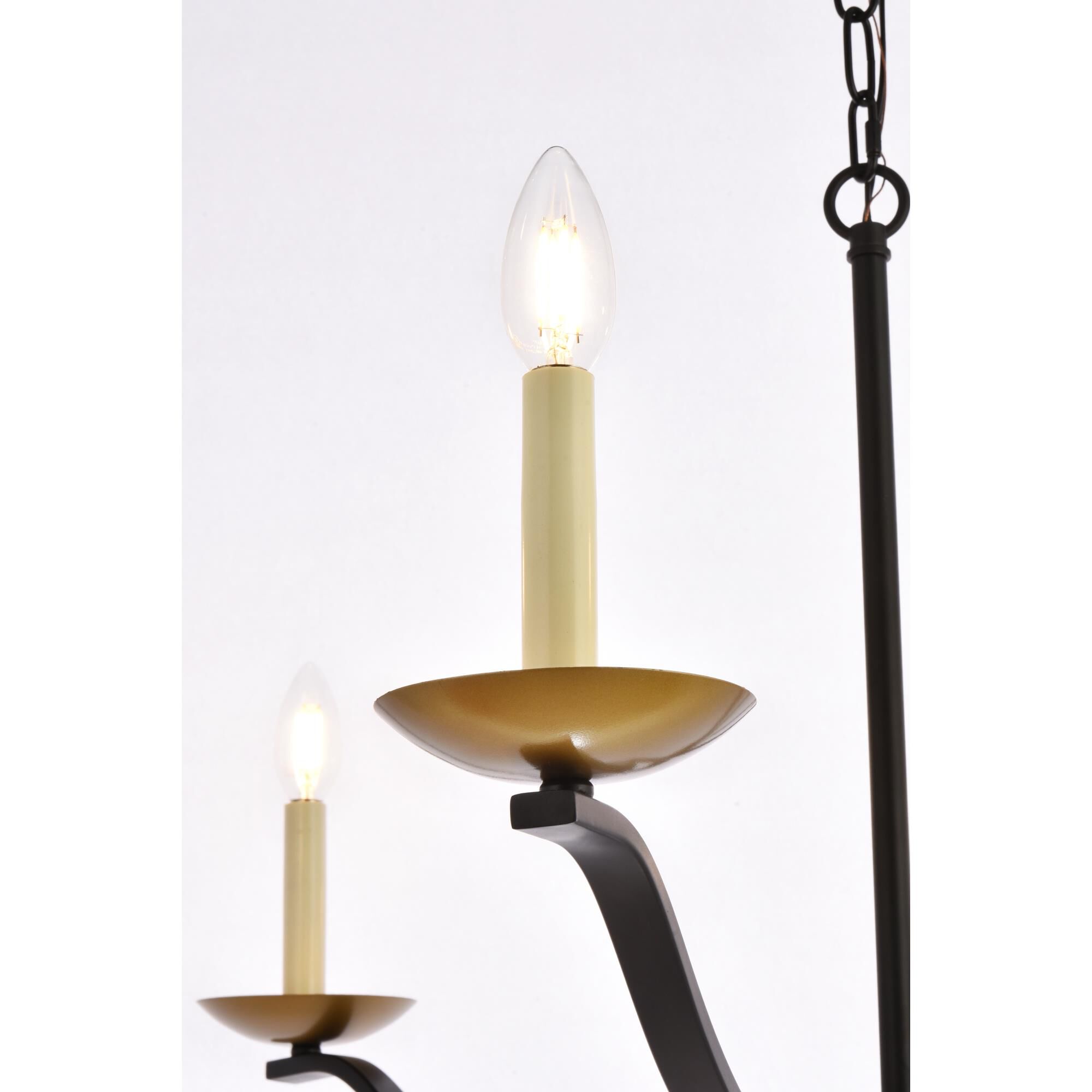 Shown in Black and Brass finish