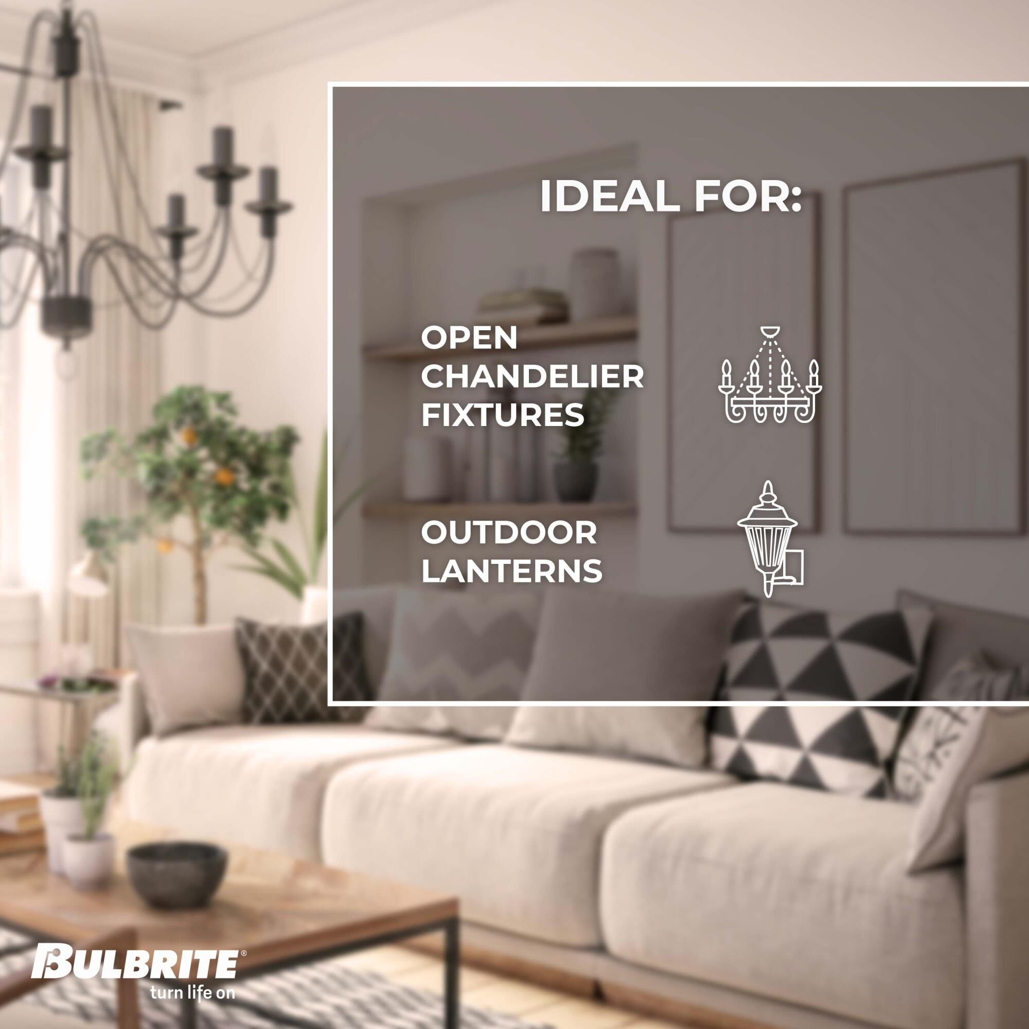 25 Watt 0K C11 Incandescent Light Bulb by Bulbrite