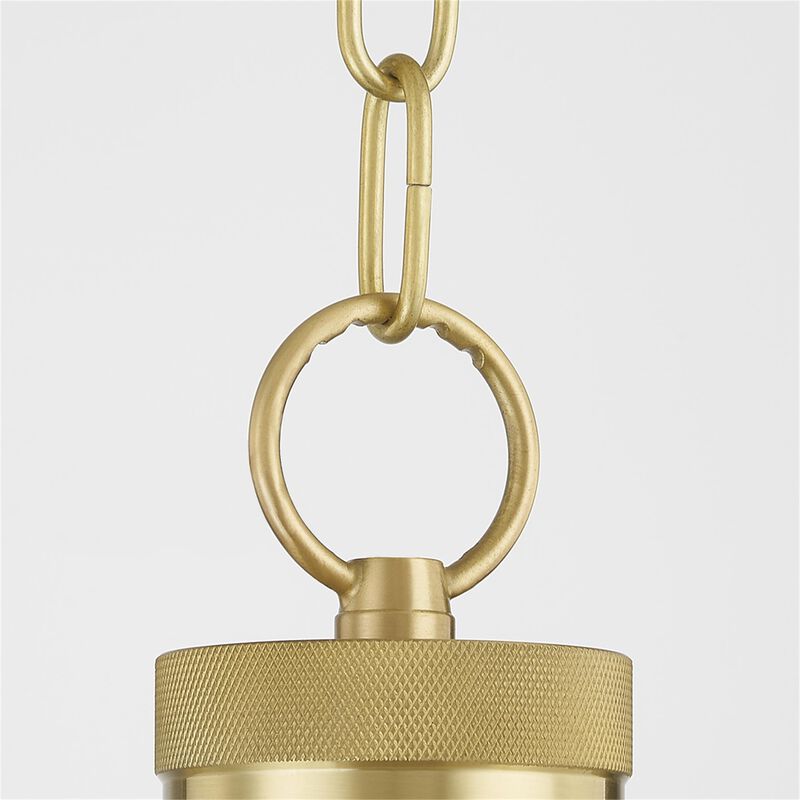 Zio and Sons Beverly Small Pendant Light by Mitzi