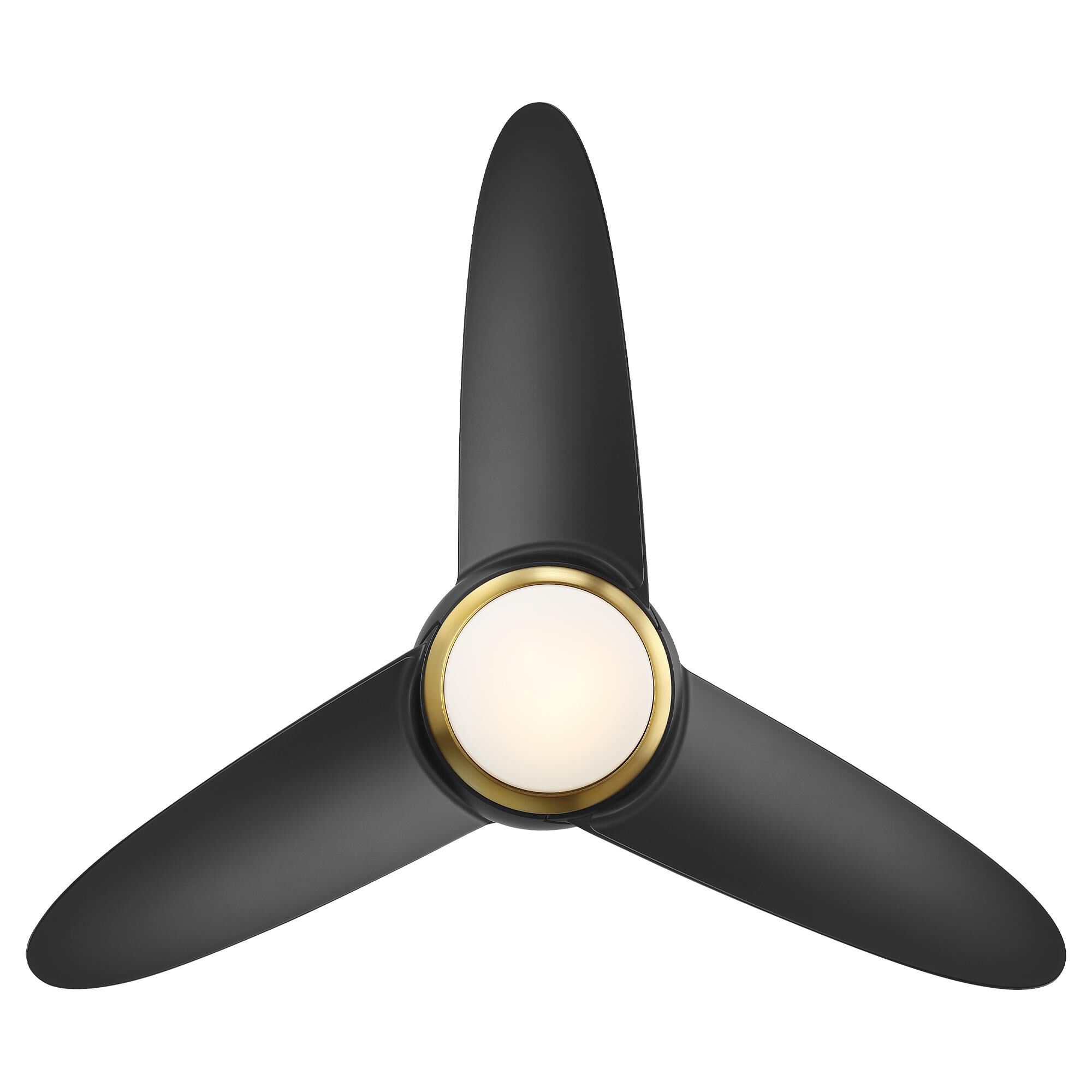 Loft 38 Inch Ceiling Fan by WAC Lighting