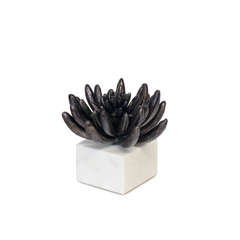 Succulent Sculpture by Regina Andrew