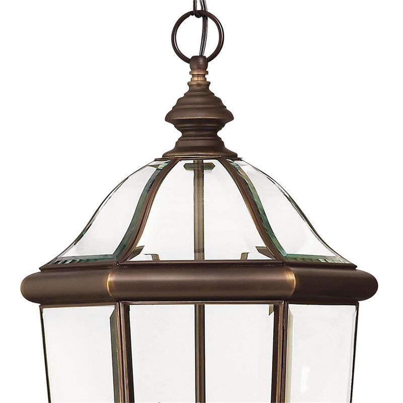 Augusta Large Outdoor Hanging Lantern by Hinkley