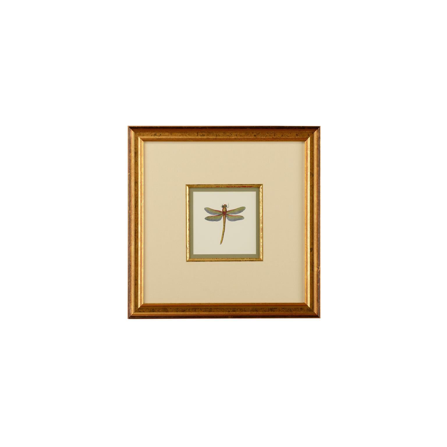 MINIATURE DRAGON FLY II Print by Chelsea House