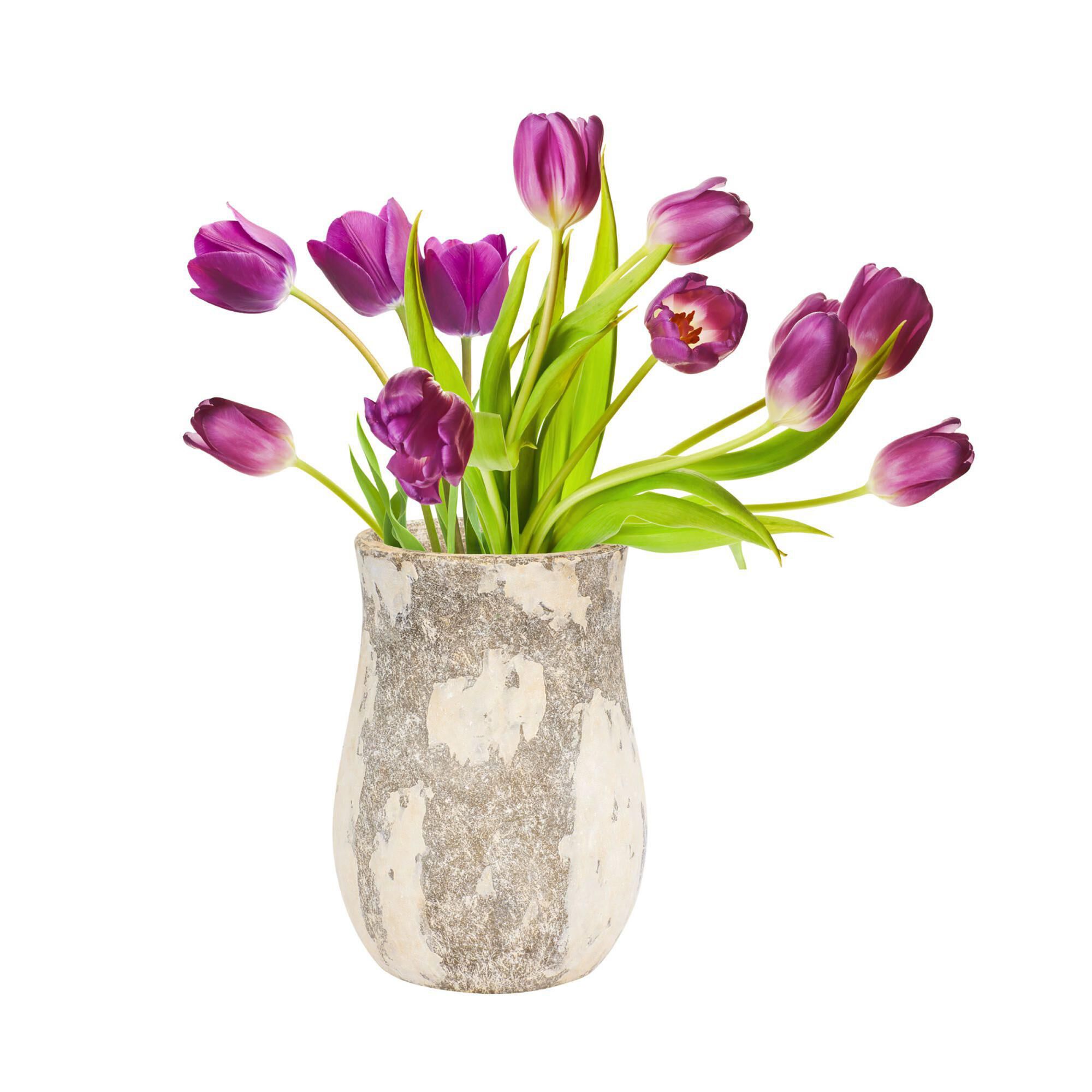 Potty Vase-Urn by Varaluz