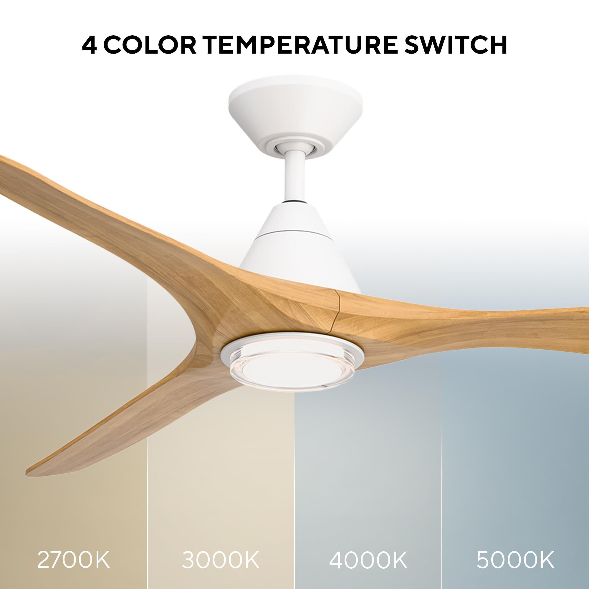 Carve 72 Inch Ceiling Fan with Light Kit by Modern Forms