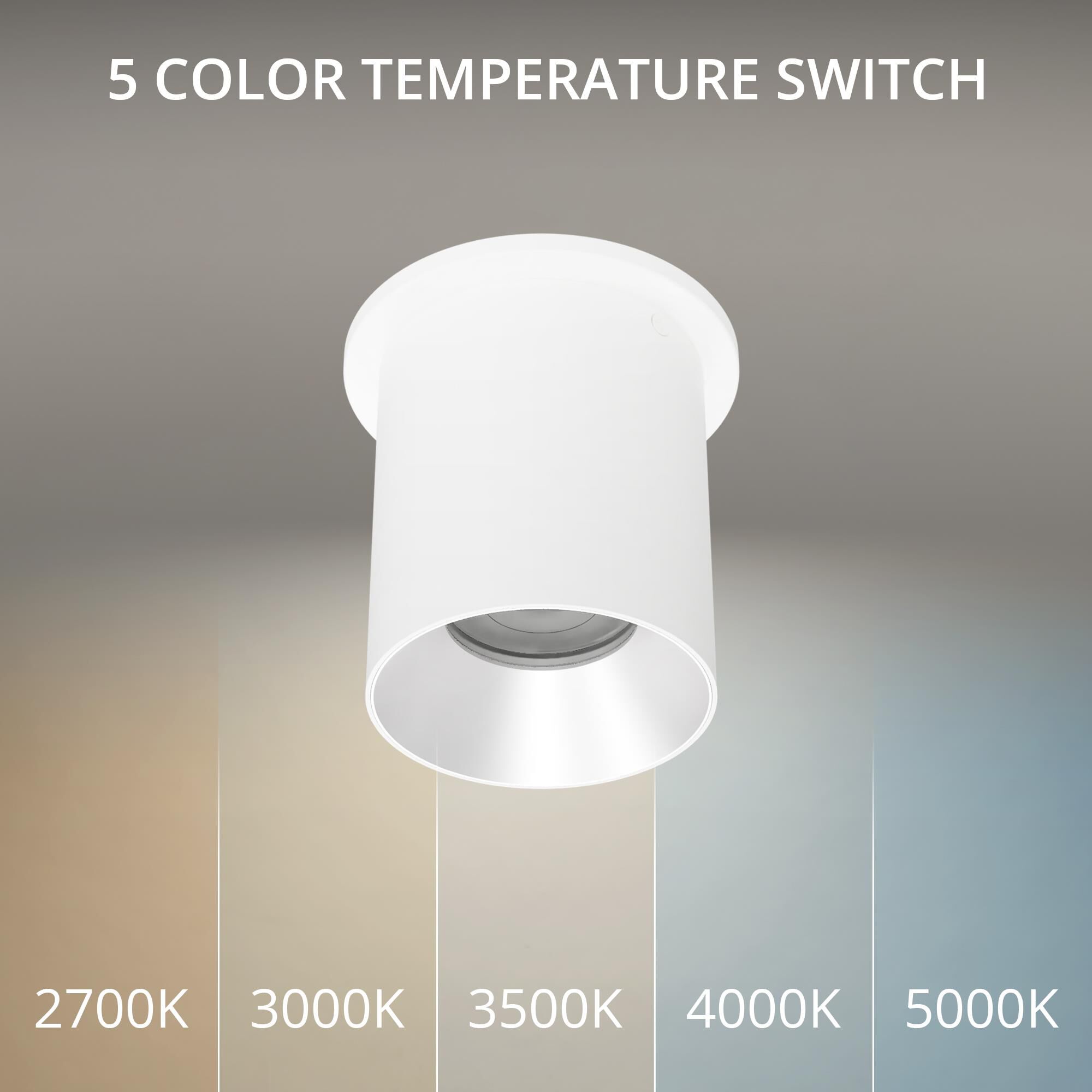 Zoron 5 Inch Outdoor Flush Mount by WAC Lighting