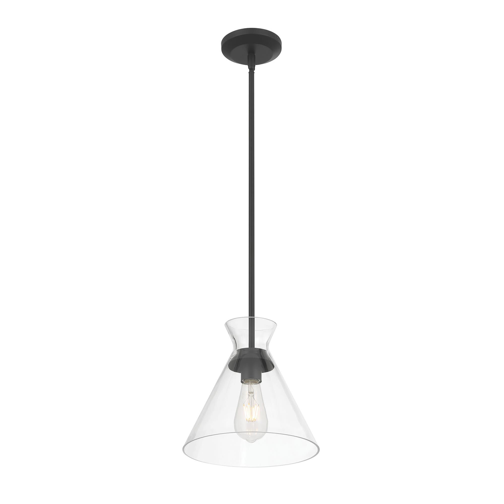 Amarella 10 Inch Mini Pendant by Millennium Lighting