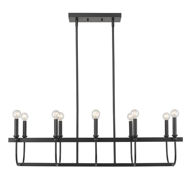 Beckett 40 Inch 10 Light Linear Suspension Light by Acclaim Lighting