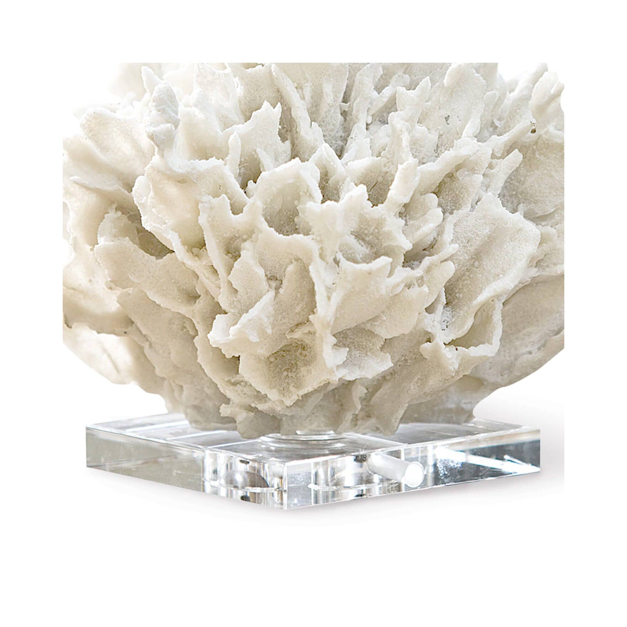 Ribbon Coral Other Table Accent by Regina Andrew