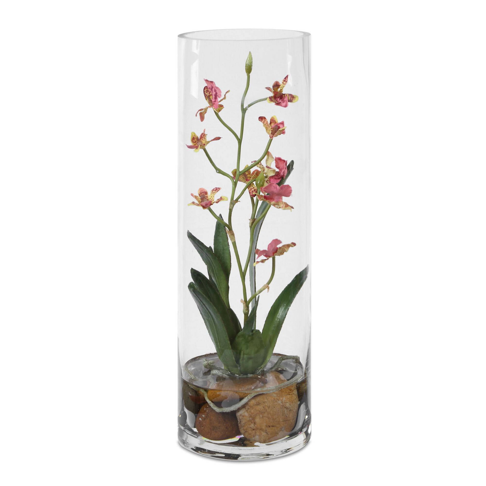 Mariposa Botanical,