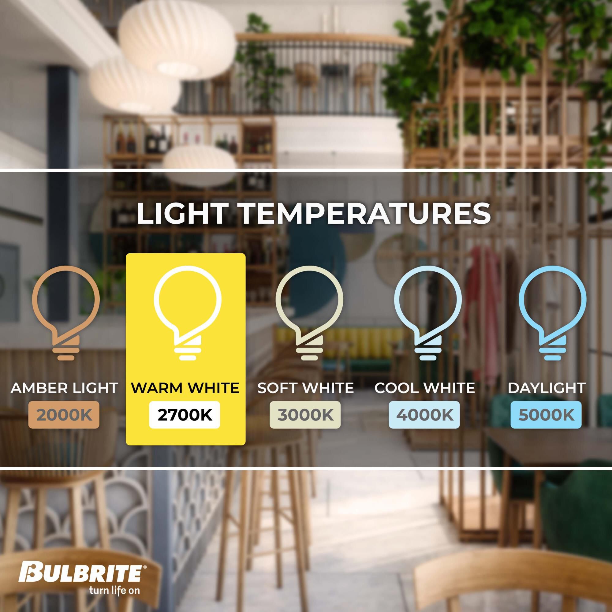 40 Watt 2700K A15 Incandescent Light Bulb by Bulbrite