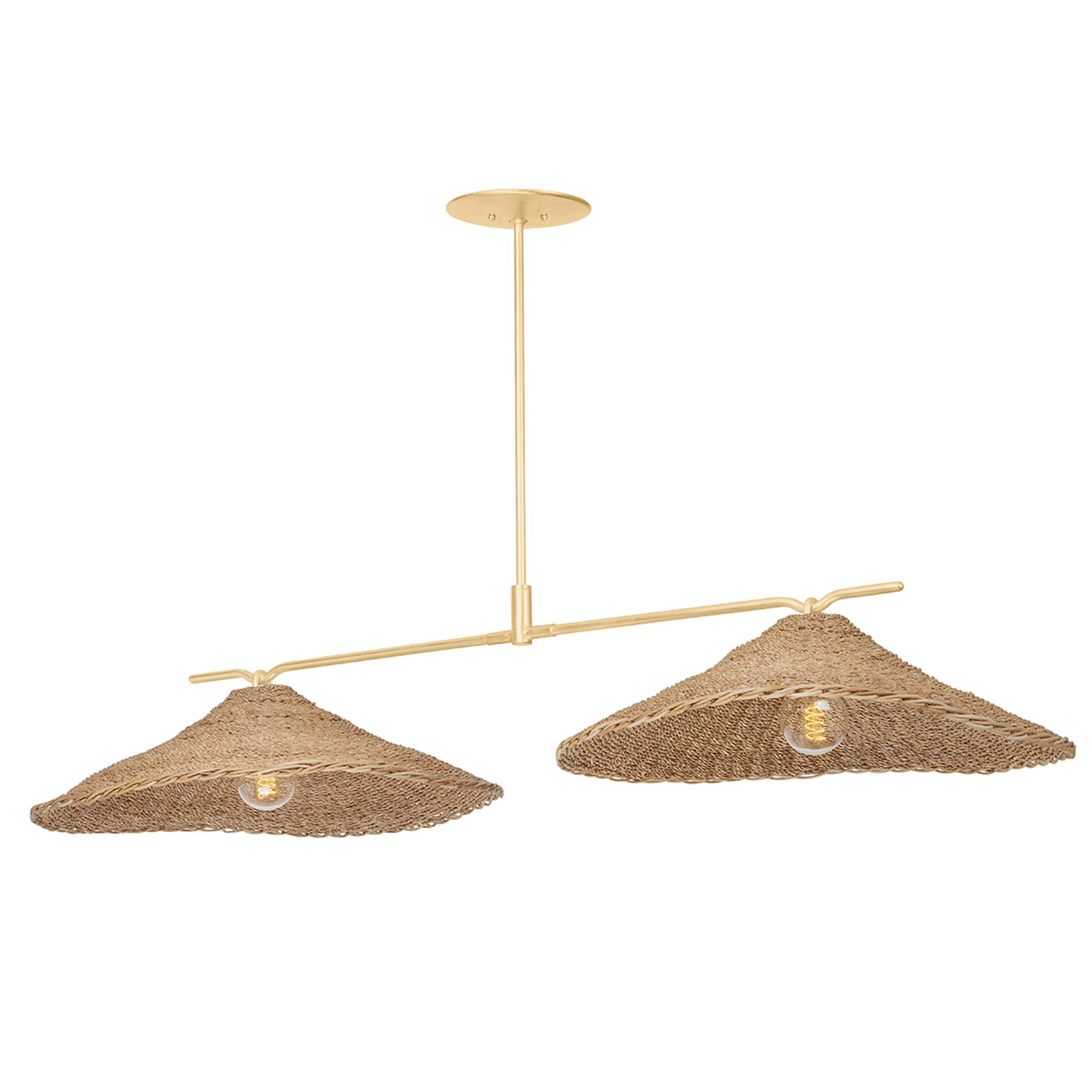 Valier 56.25 Inch Linear Suspension Light,