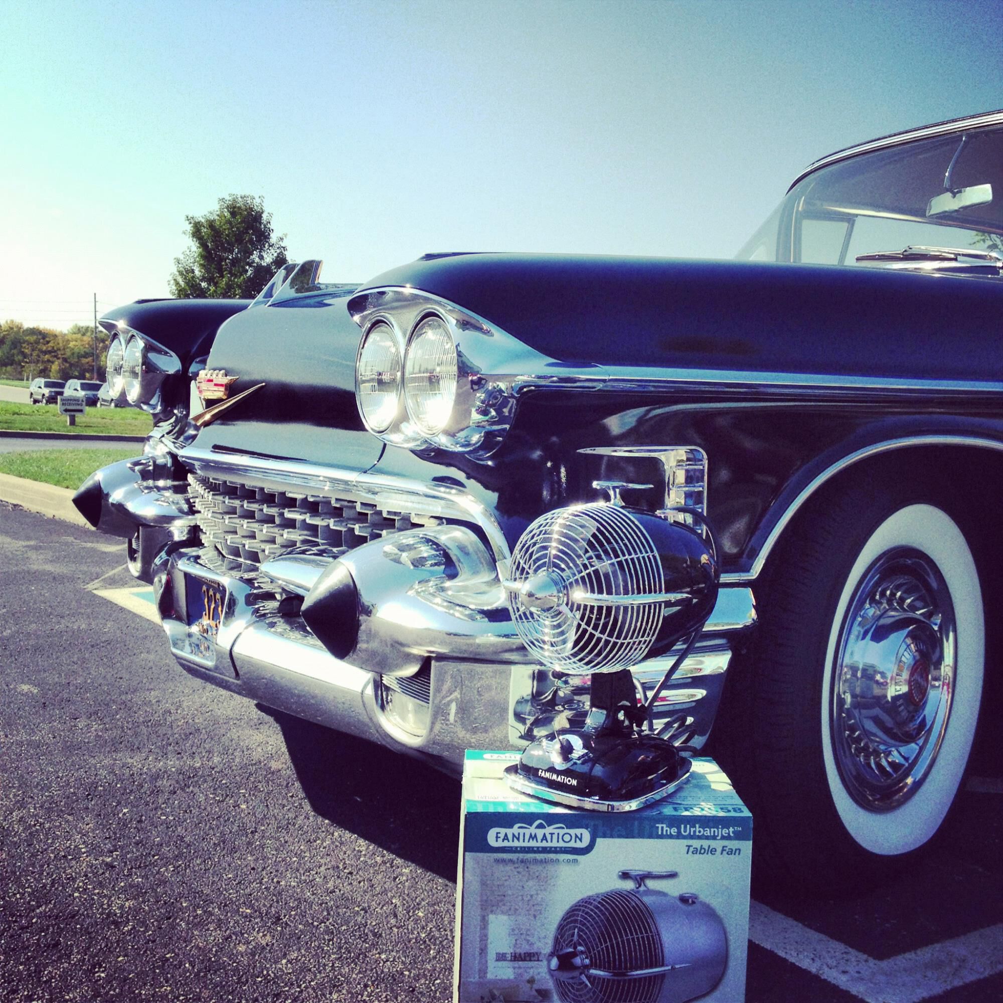 Shown in Rose Gold finish 