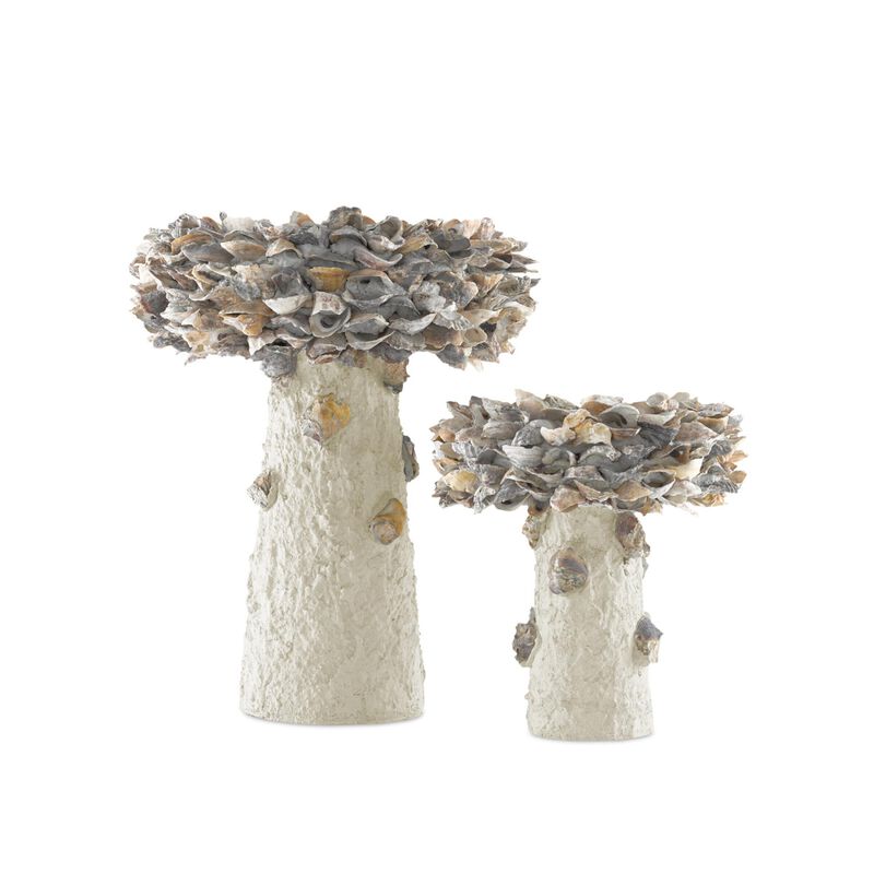 Oyster Shell Medium Bird Bath Other Home Accent by Currey and Company