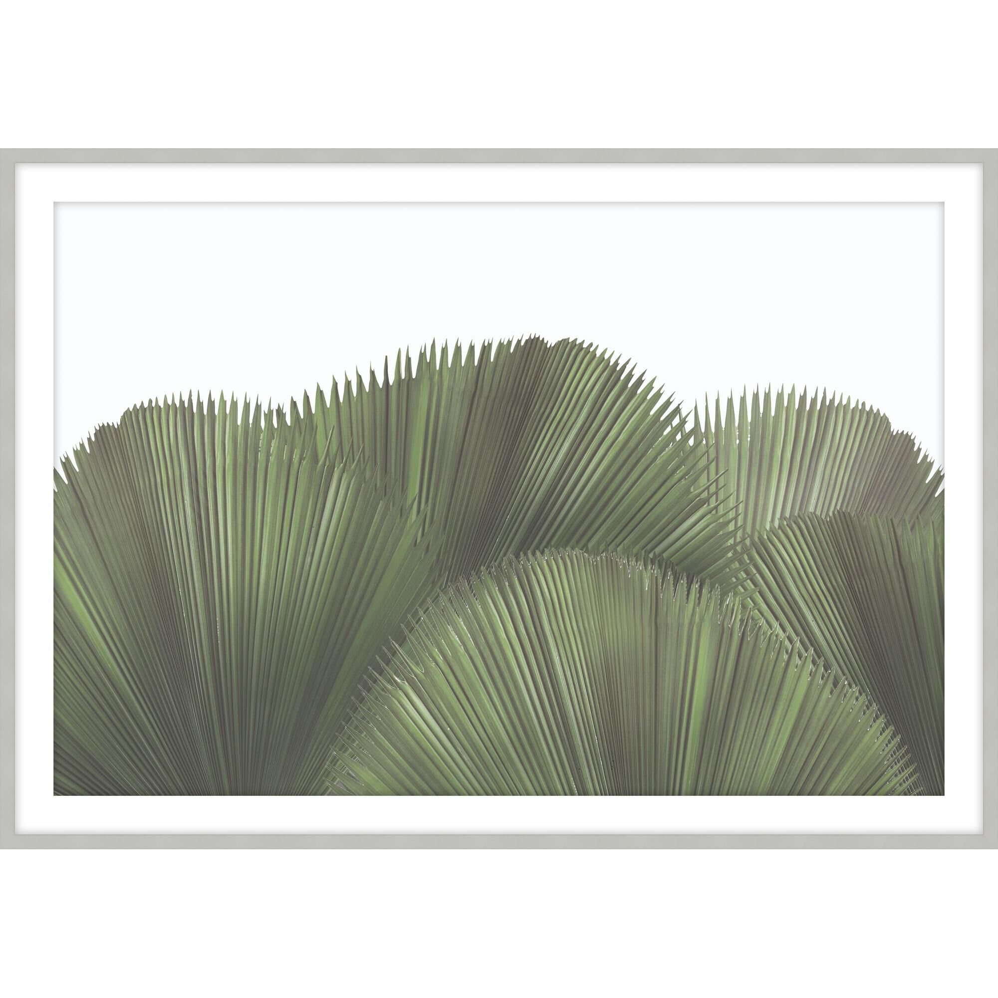 Tropical Leaves Print by Level57