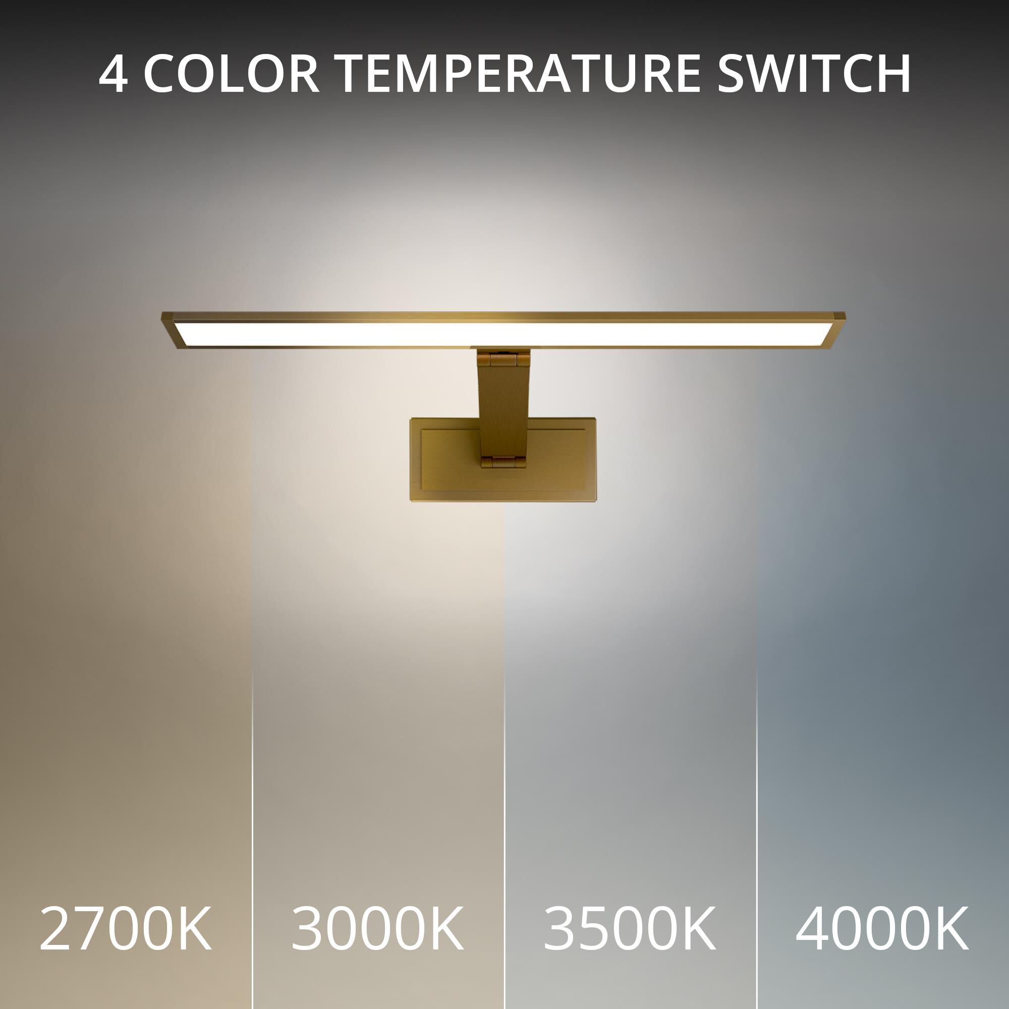 Diver 18 Inch Picture and Display Light by Modern Forms