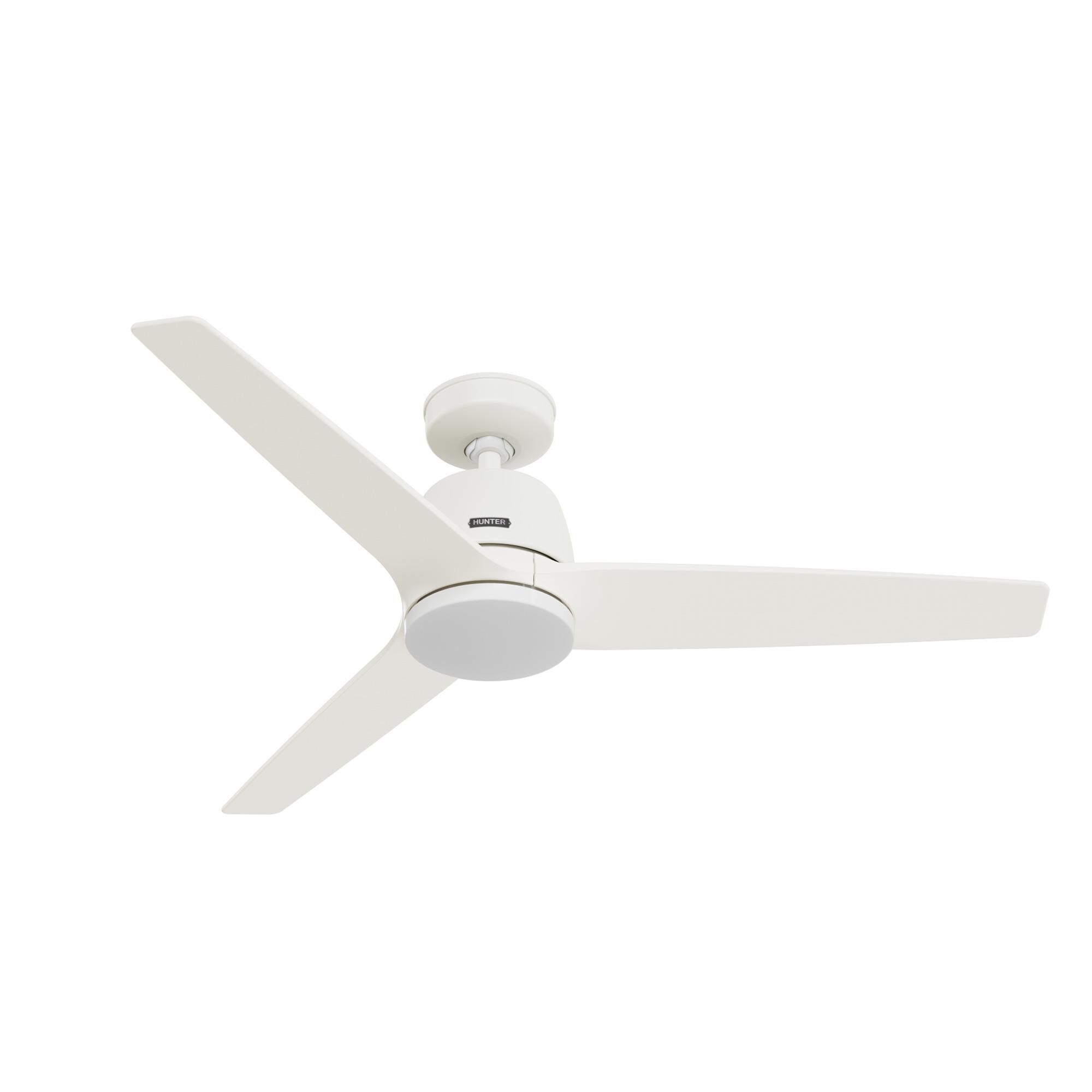 Malden Ceiling Fan by Hunter Fan