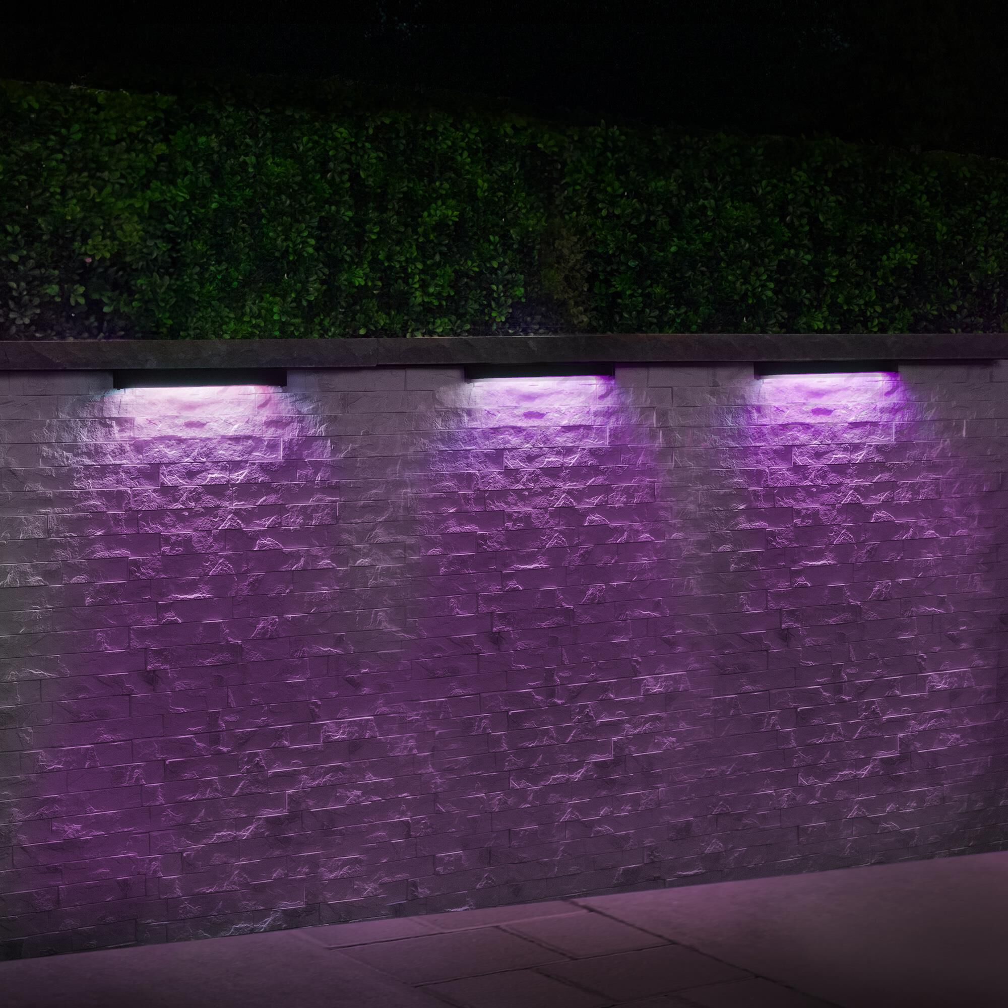 Colorscaping 12 Inch Landscape Specialty Light by WAC Lighting