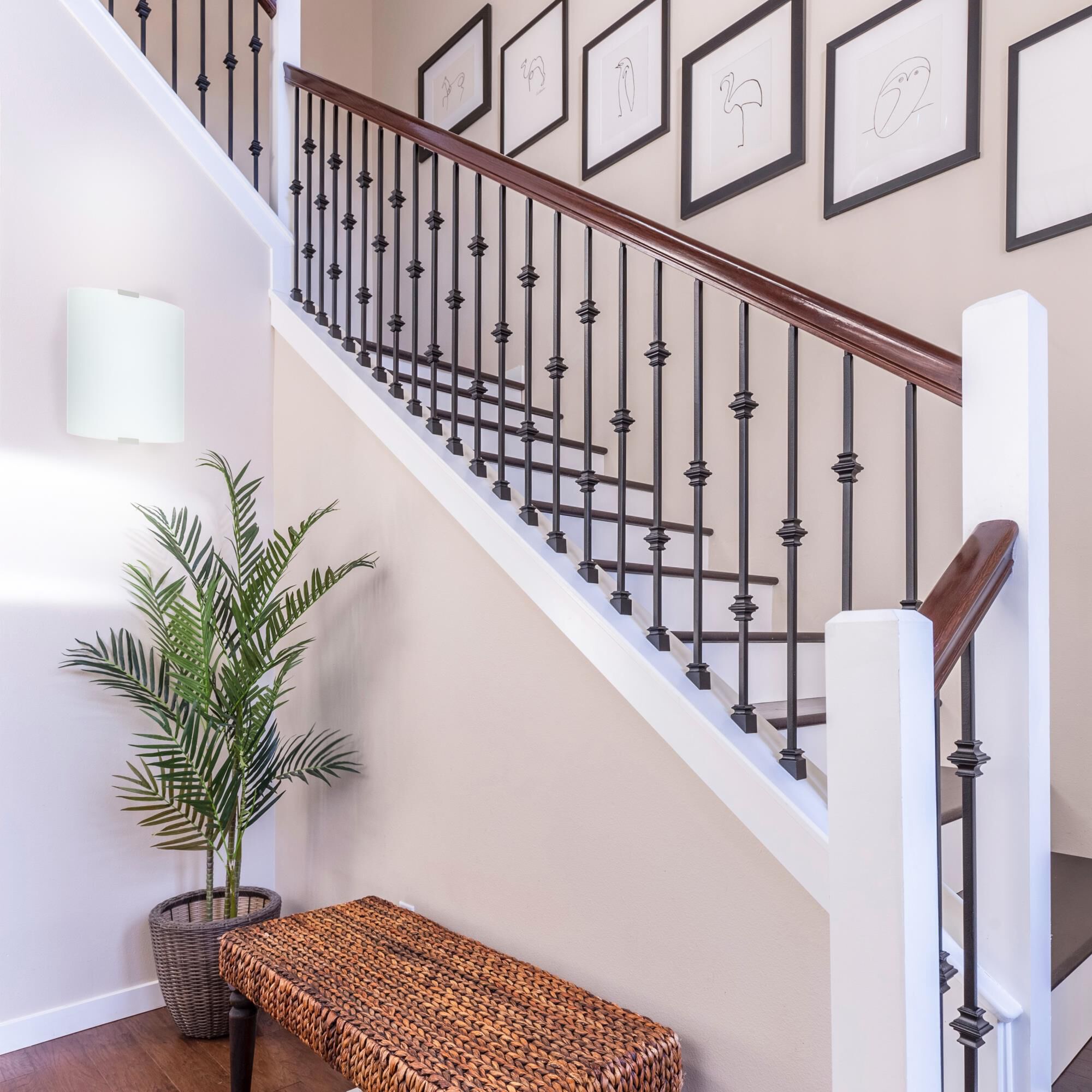 Eglo Lighting Eglo Grafik 8 Inch Wall Sconce