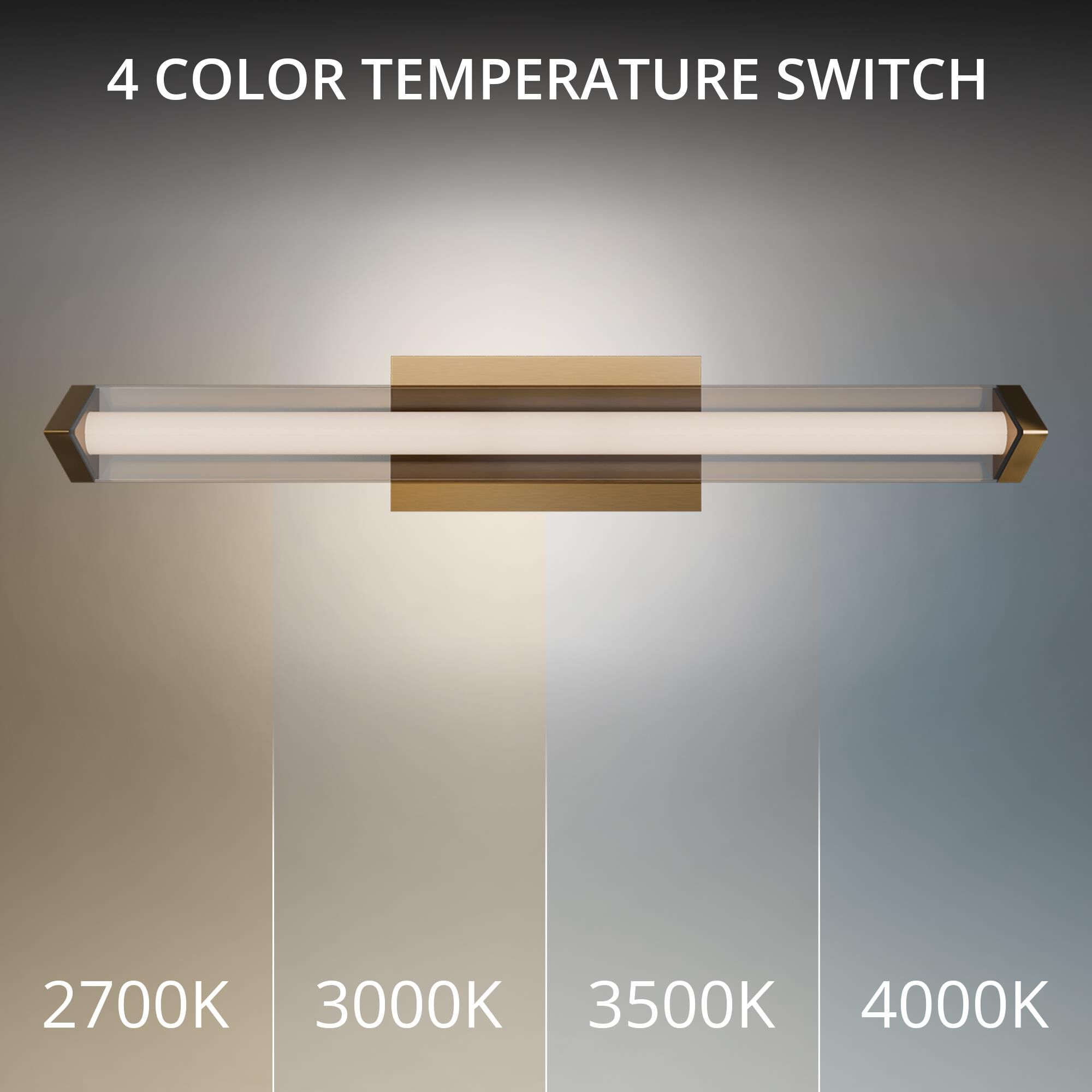 Boulevard 24 Inch Bath Vanity Light by dweLED