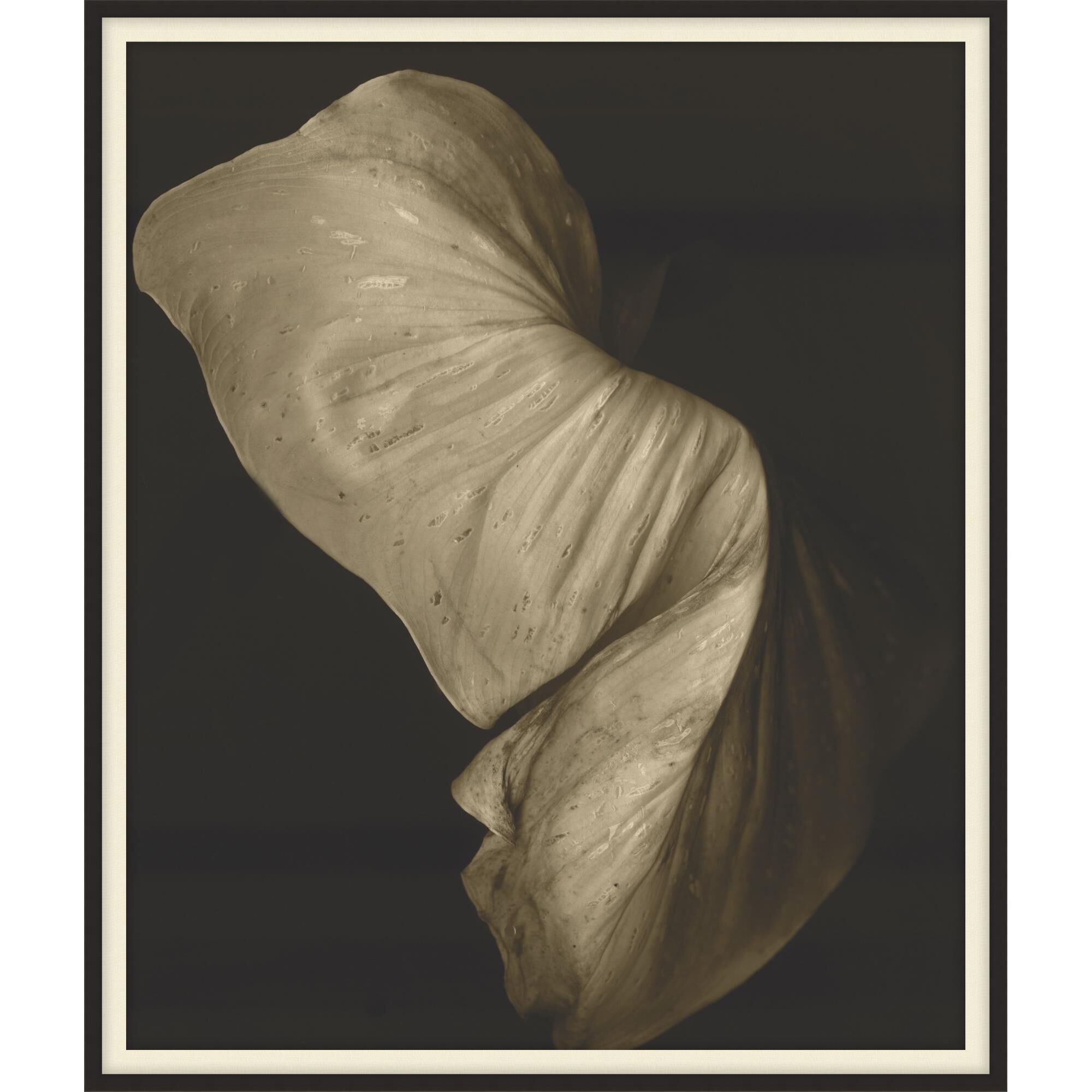 Kate Blacklock Wilted Memory Print by LEVEL57