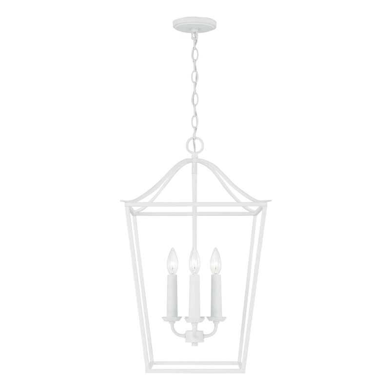 Grady 22 Inch Cage Pendant by Capital Lighting Fixture Company