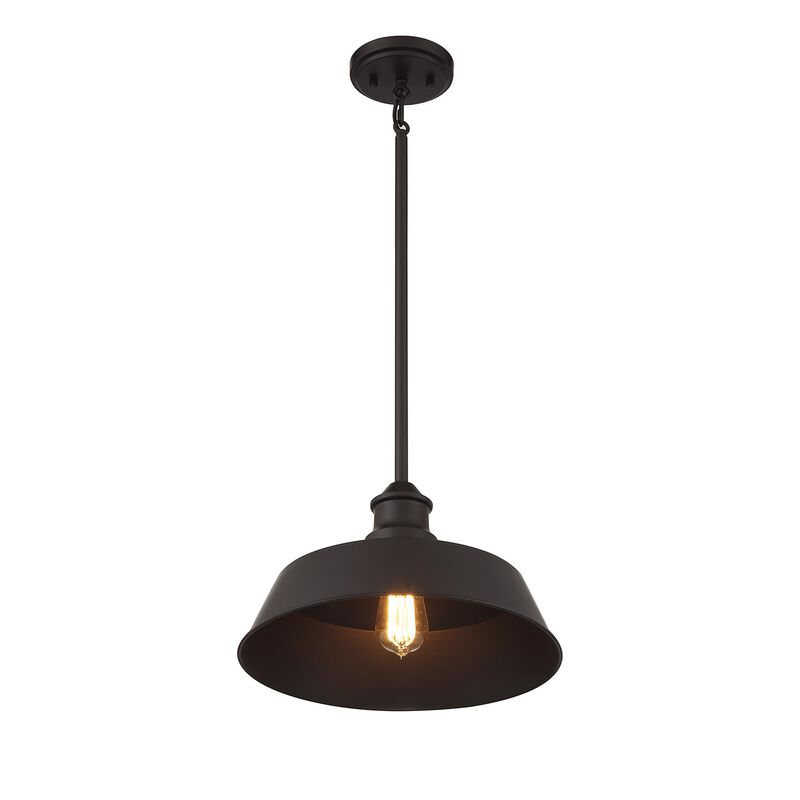 Meridian Lighting 14 Inch LED Large Pendant