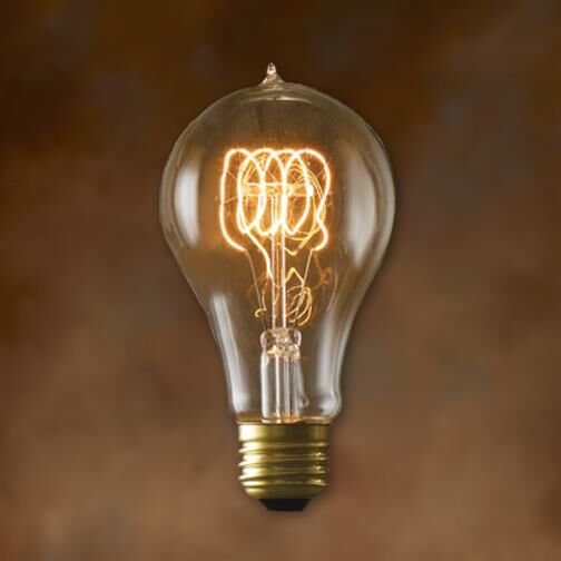 25 Watt 2700K A21 Vintage Light Bulb by Bulbrite