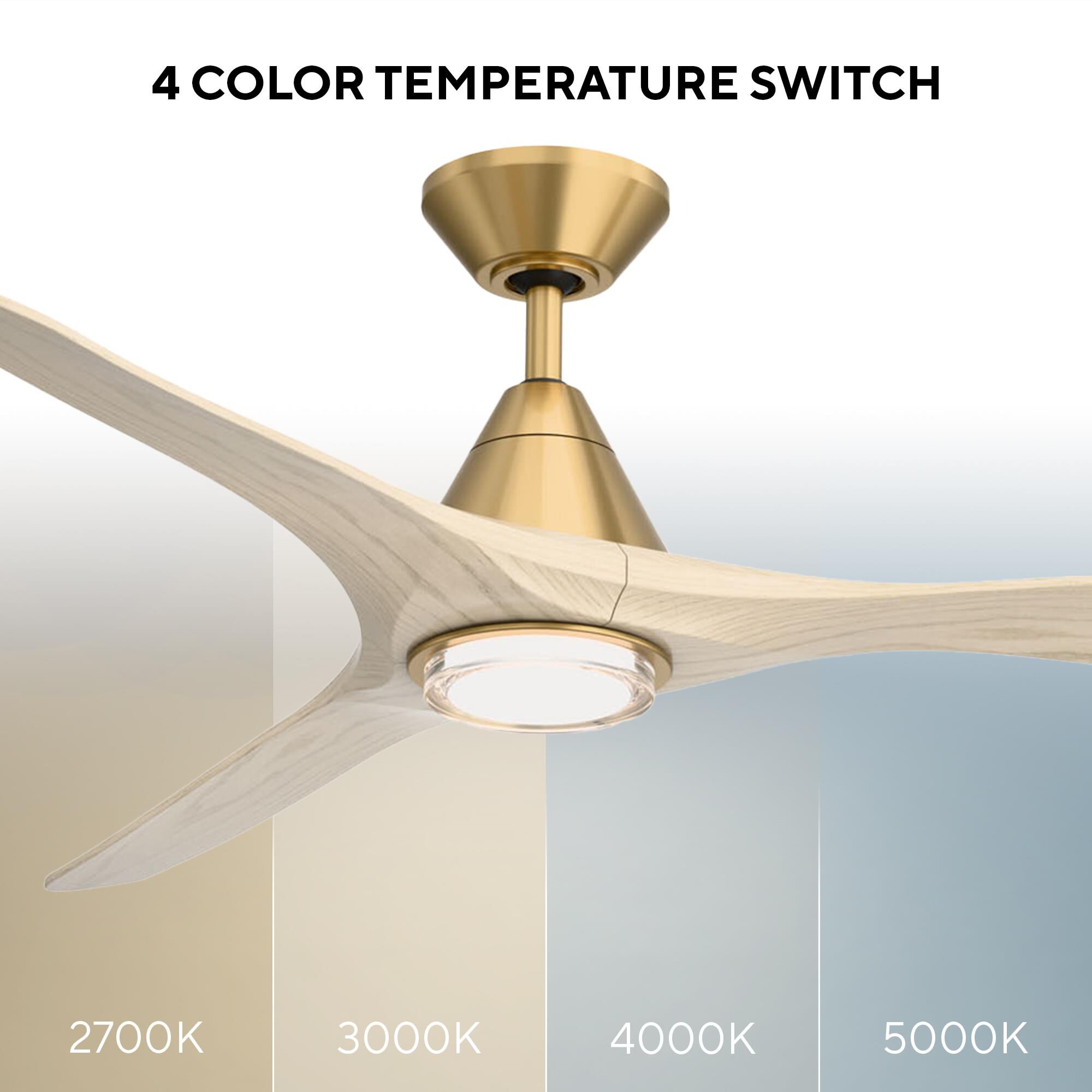 Shown in Soft Brass finish