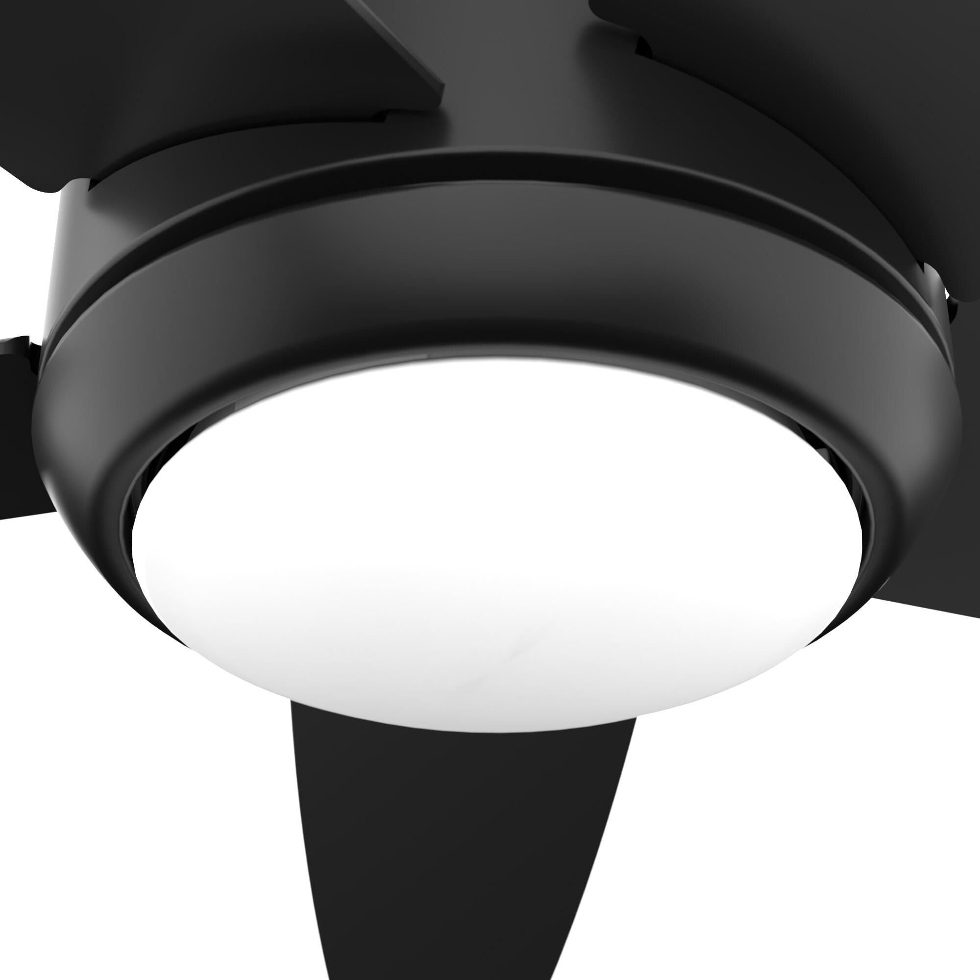 Zayden 52 Inch Ceiling Fan with Light Kit by Hunter Fan