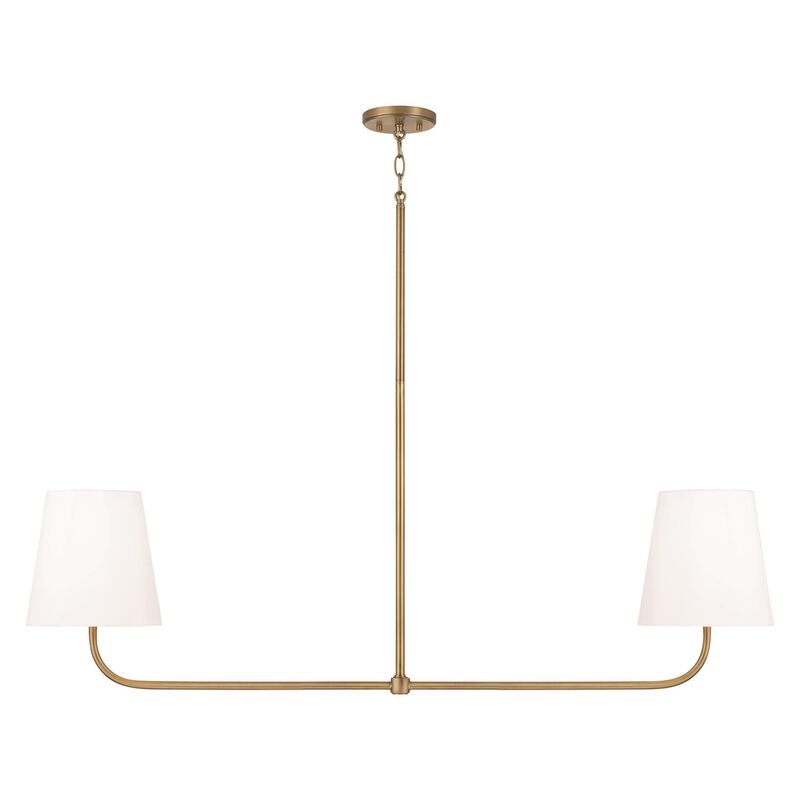 Brody 50 Inch 2 Light Linear Suspension Light by Capital Lighting Fixture Company