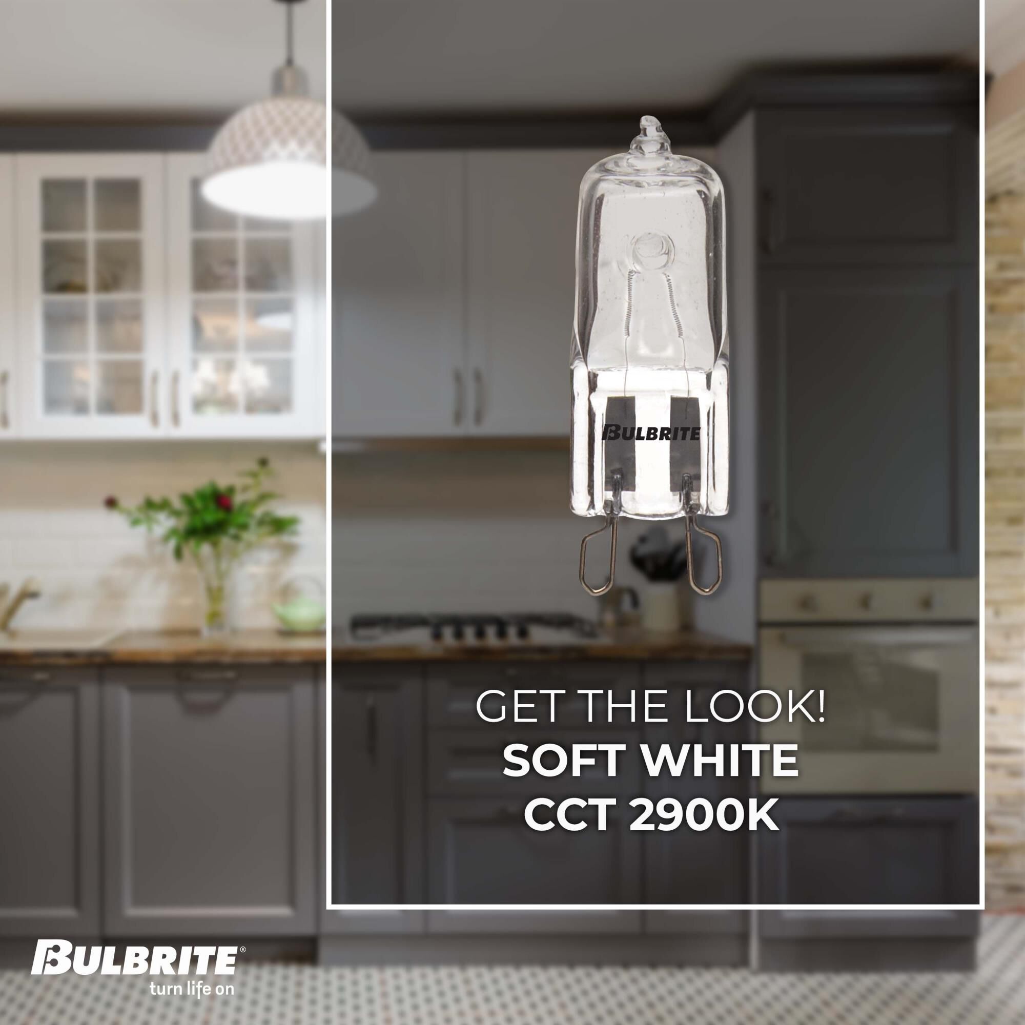 75 Watt 2900K T4 Halogen Light Bulb by Bulbrite