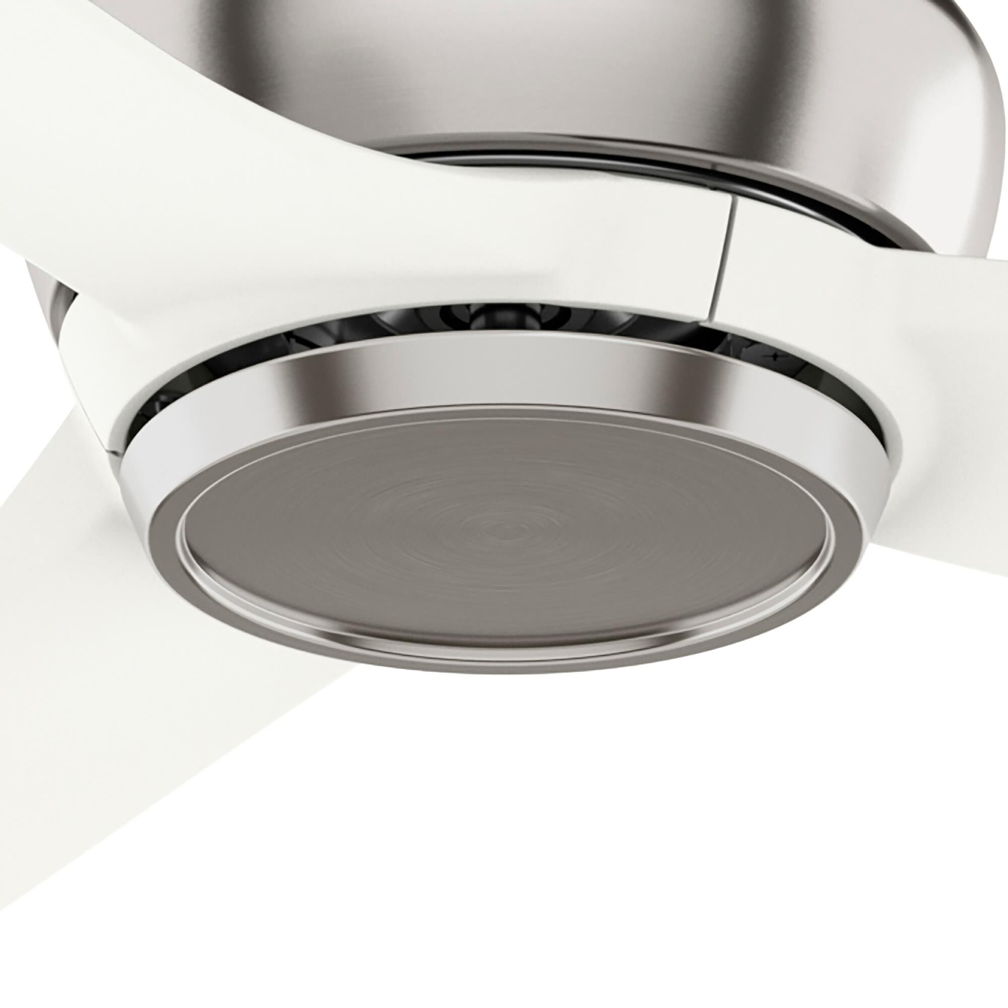 Eyla 52 Inch Ceiling Fan by Casablanca Fan Company